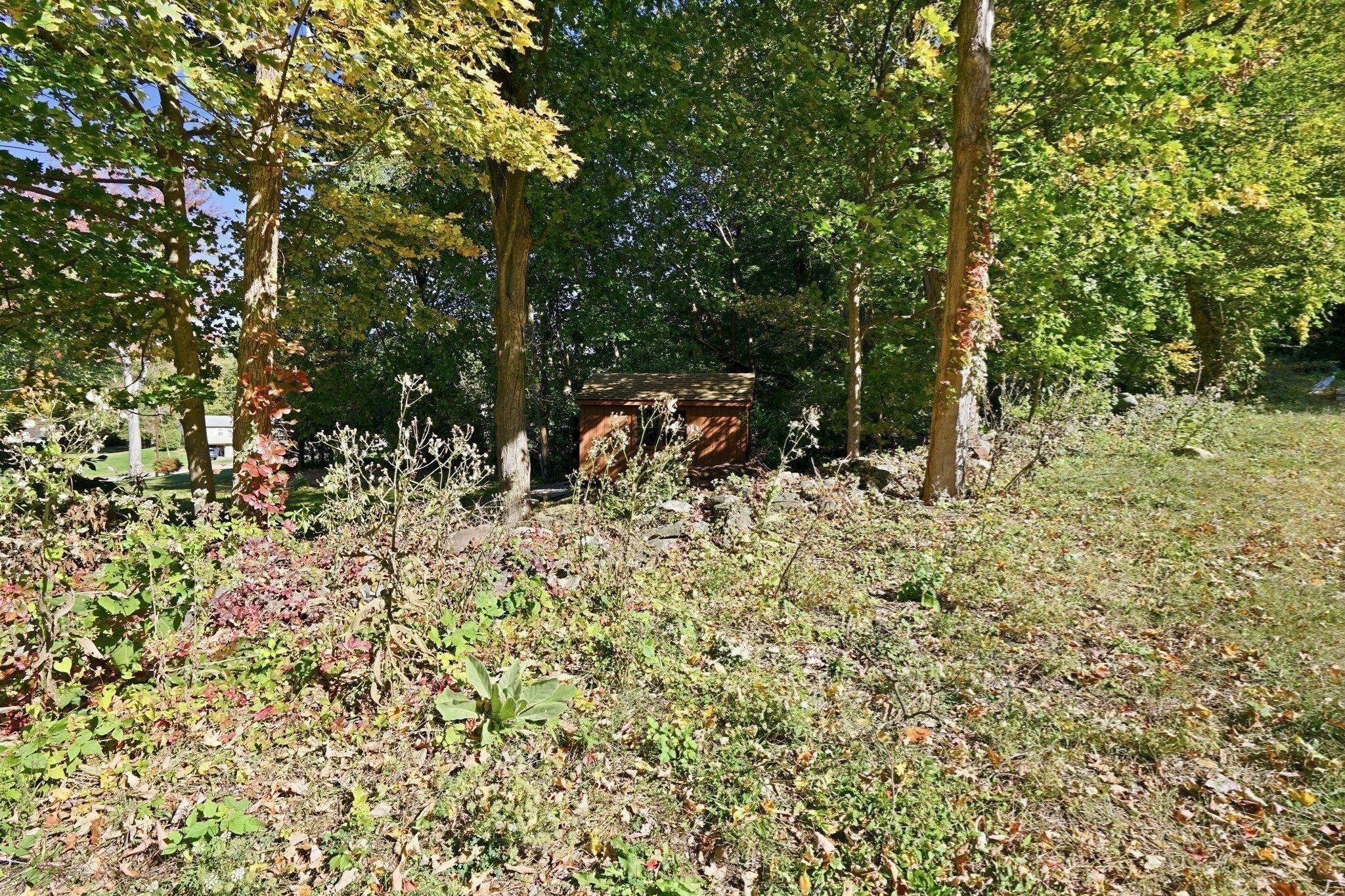 338 Wilbraham Rd Property Photo 16