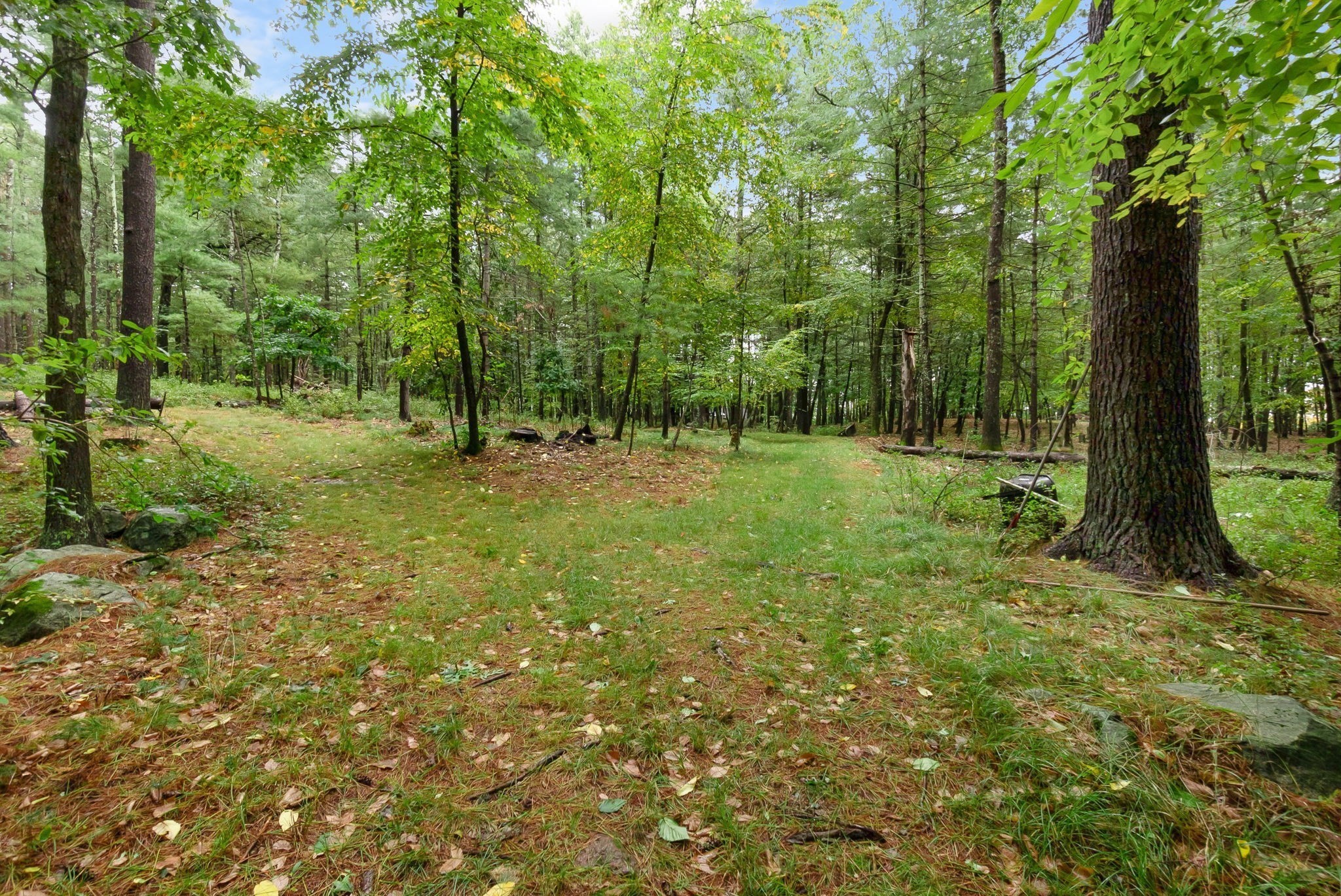 109 Glen St Property Photo 36