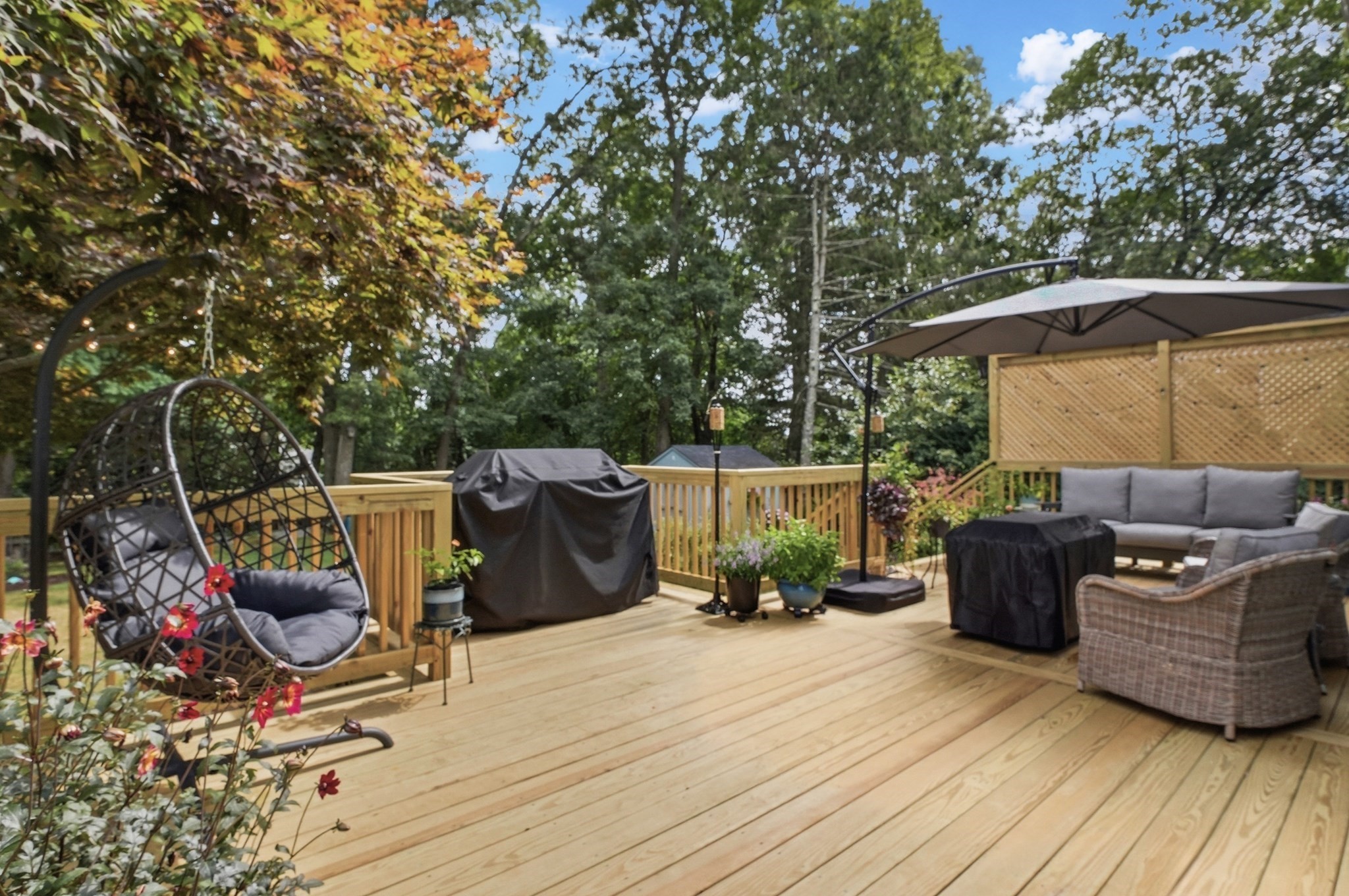 75 Myrtle Street Property Photo 29
