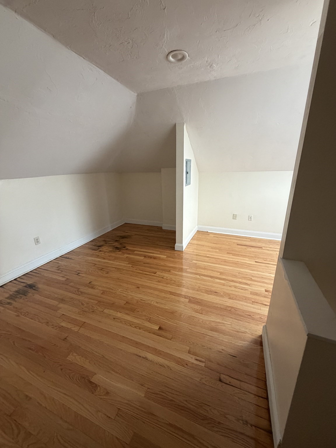 1326 Blue Hill Ave # 3 Property Photo 6