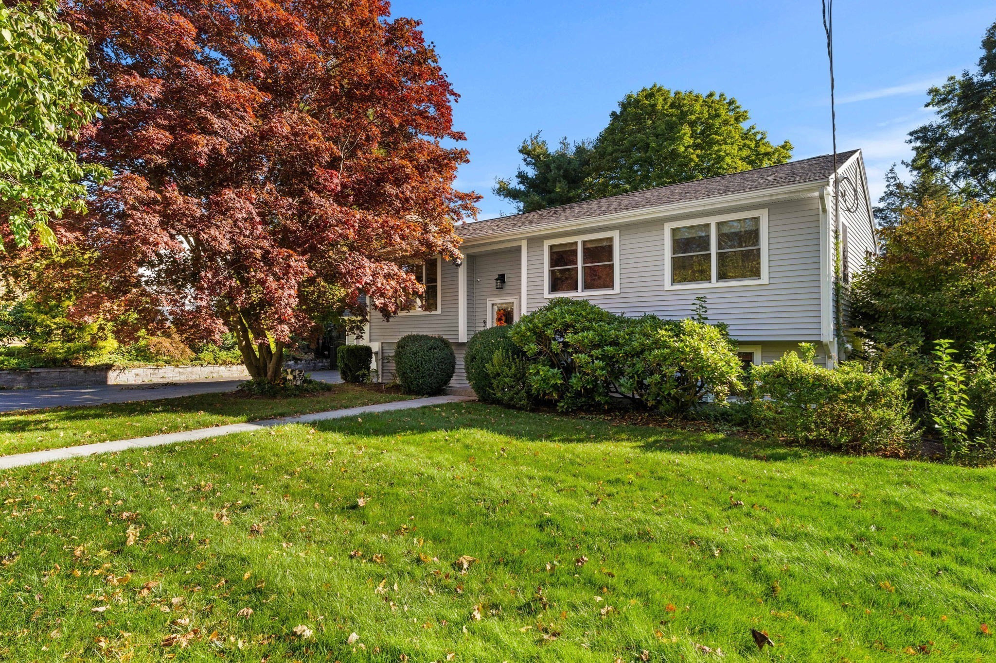 3 Lavalley Ln Property Photo 1