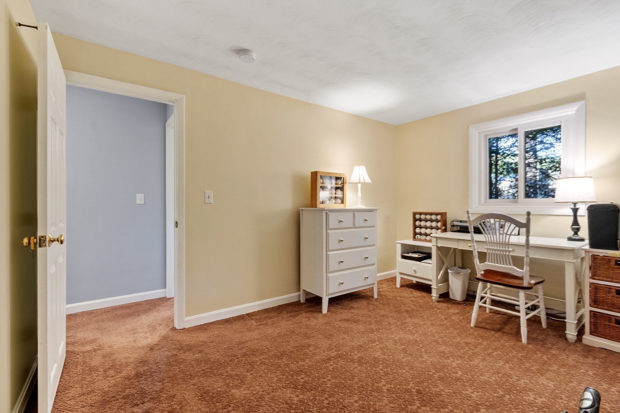 26 Samuel Road Property Photo 29