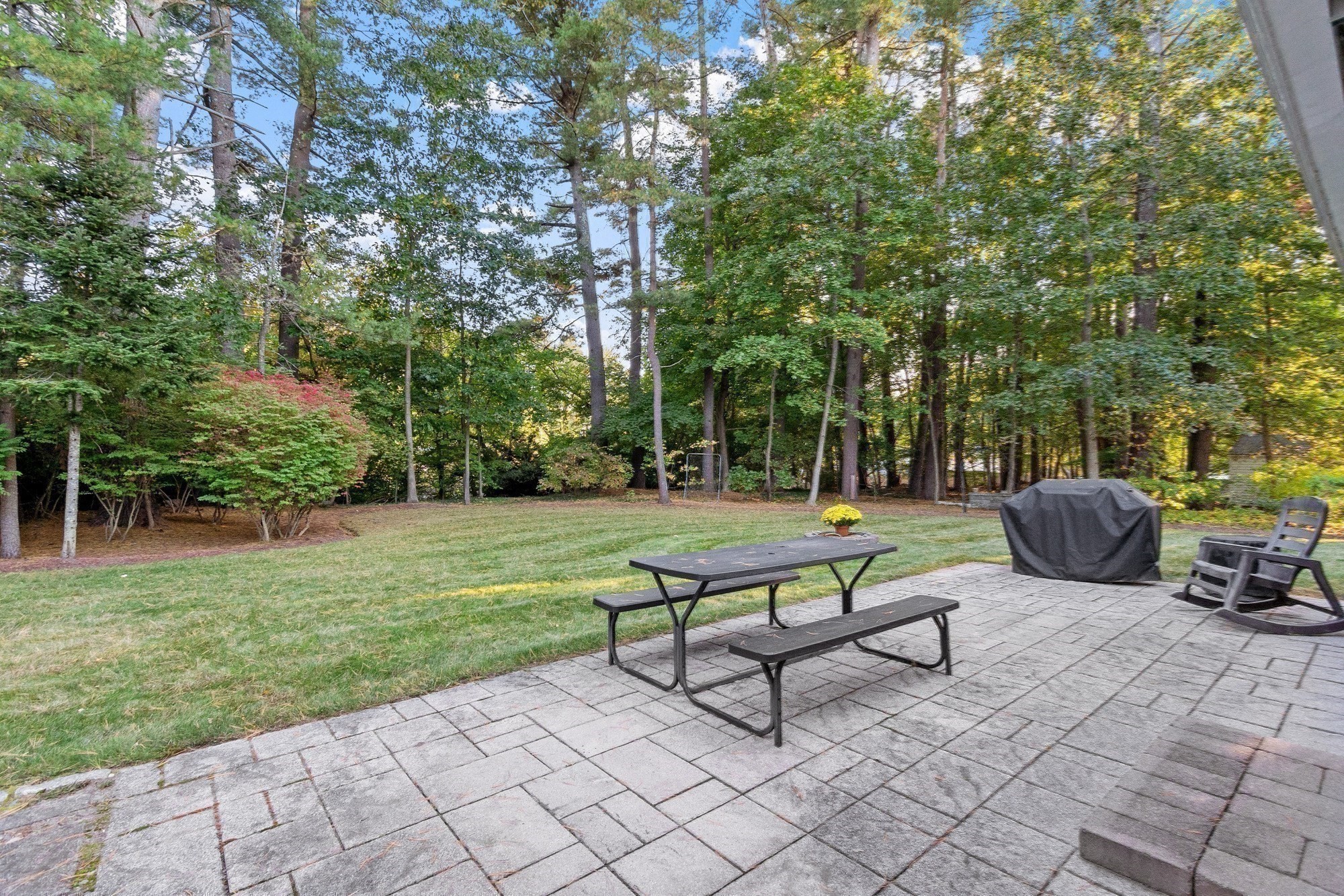26 Samuel Road Property Photo 37