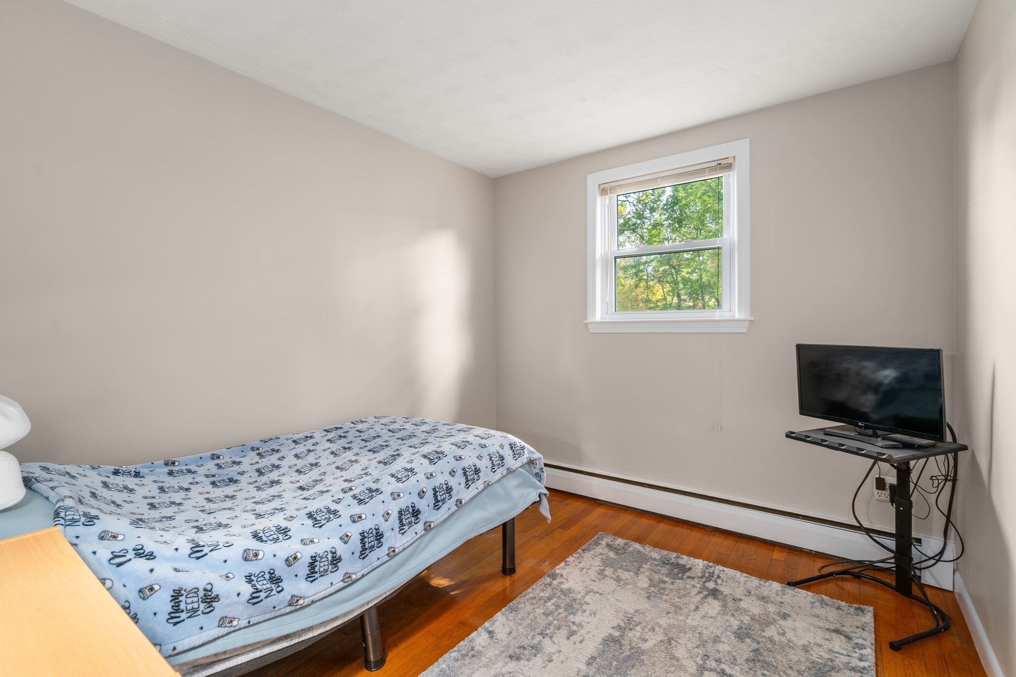 18 Julie Ave Property Photo 16