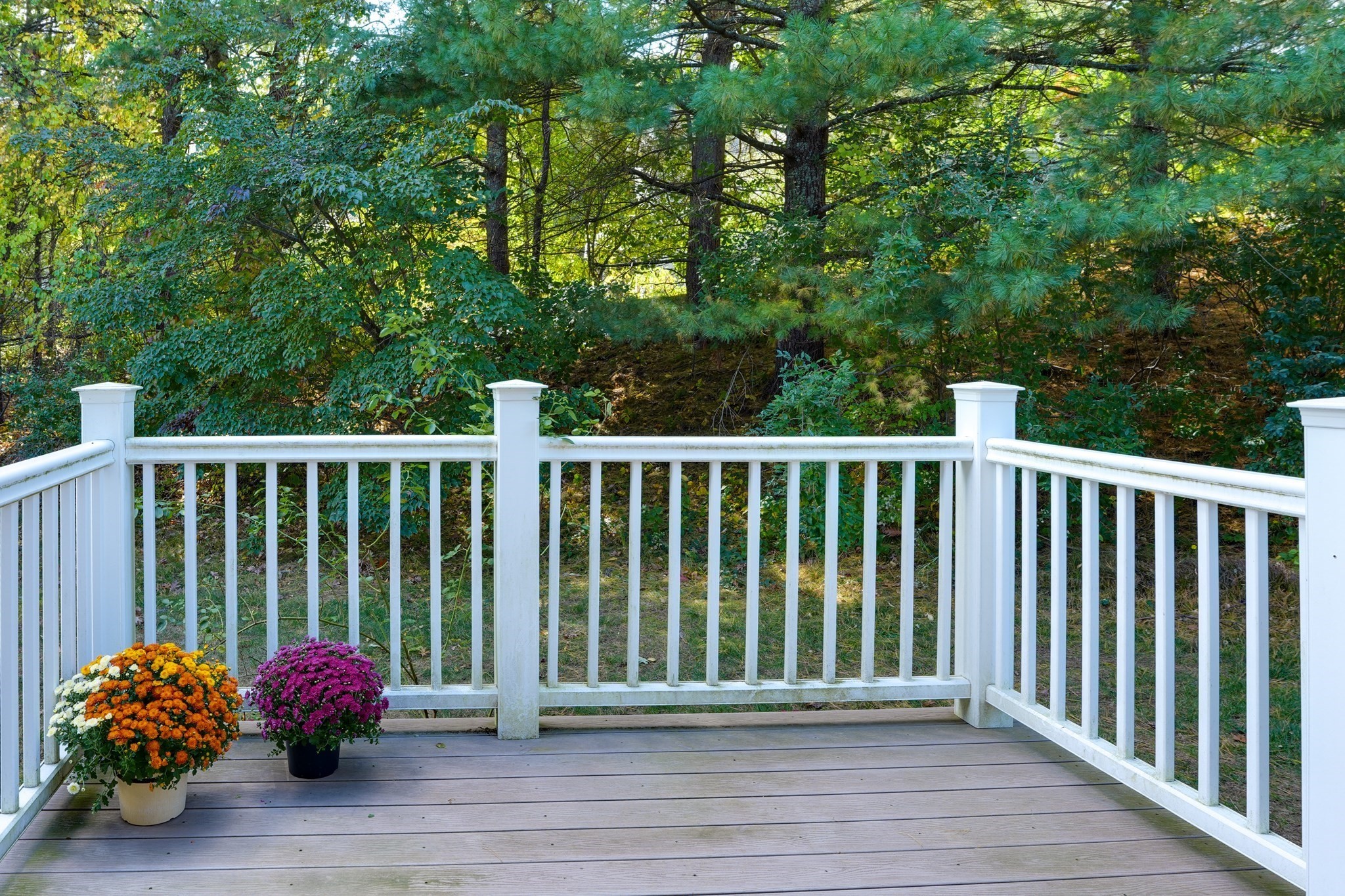 153 Laurelwood Drive # 153 Property Photo 4