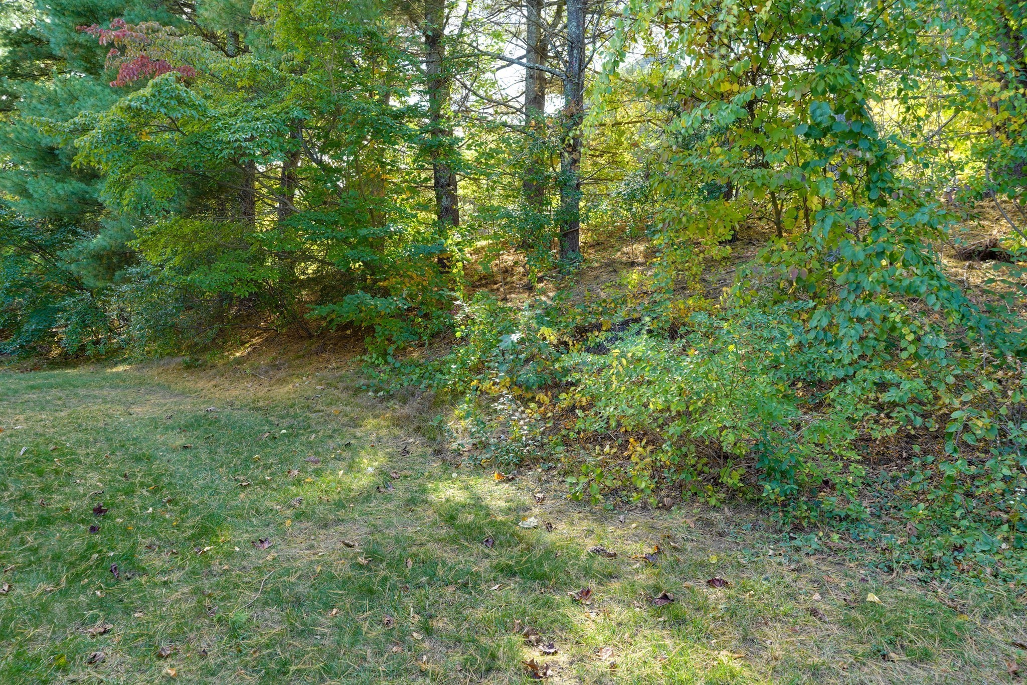 153 Laurelwood Drive # 153 Property Photo 5