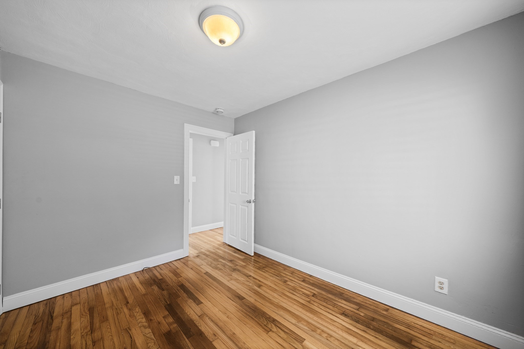 42 Holland Dr Property Photo 15