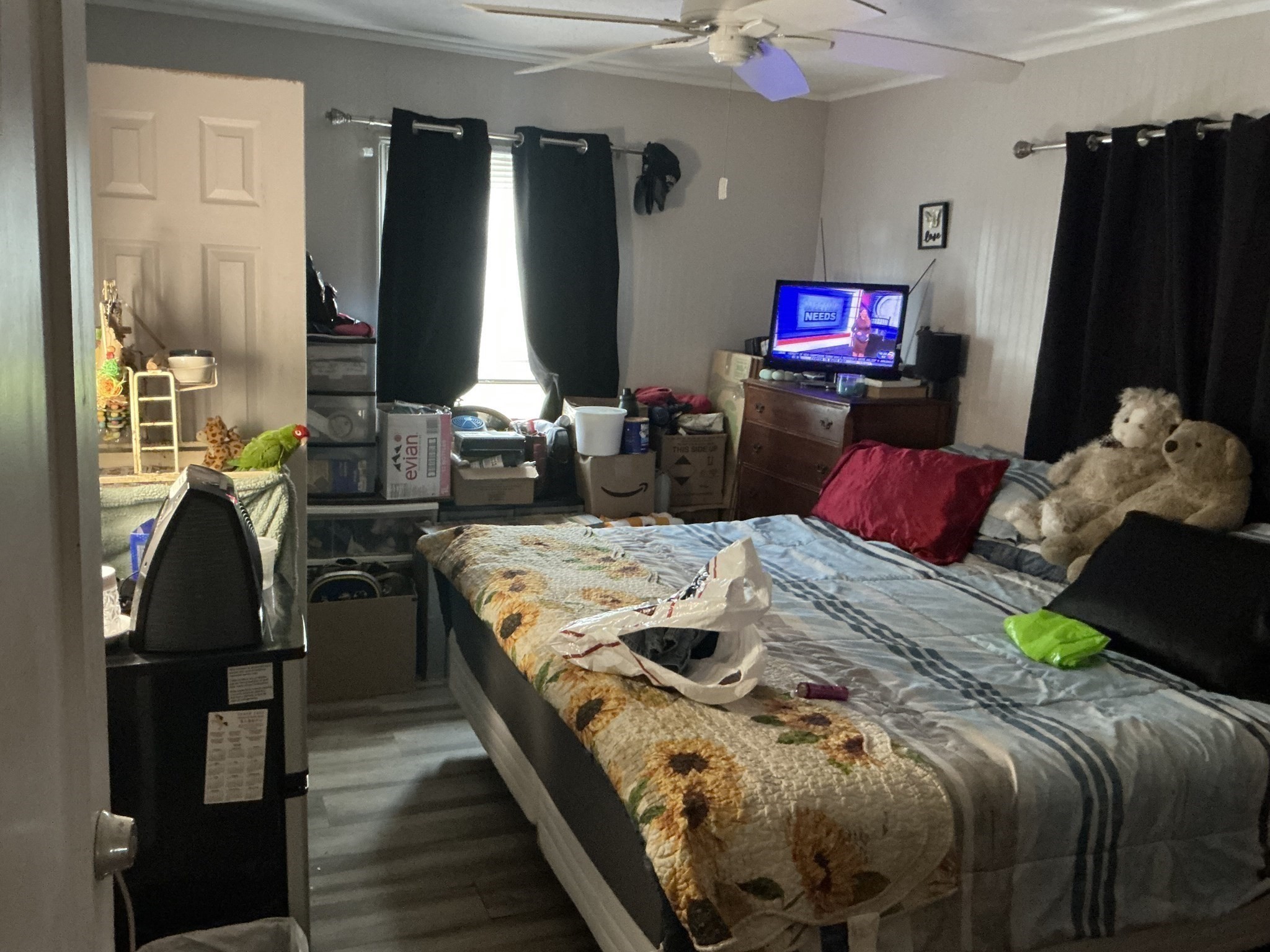 567 Nantasket Ave Property Photo 6