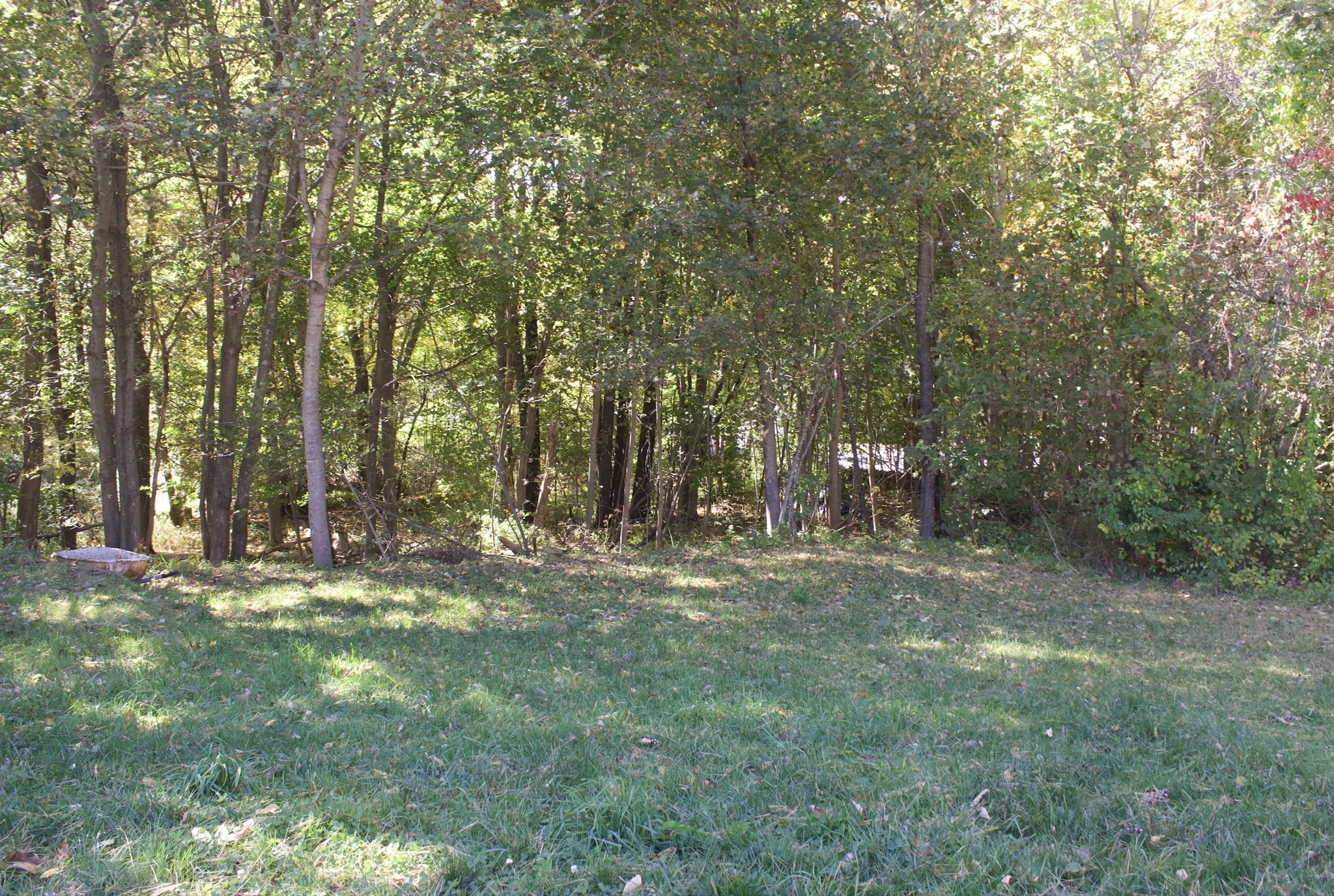 15 Draper Rd Property Photo 14