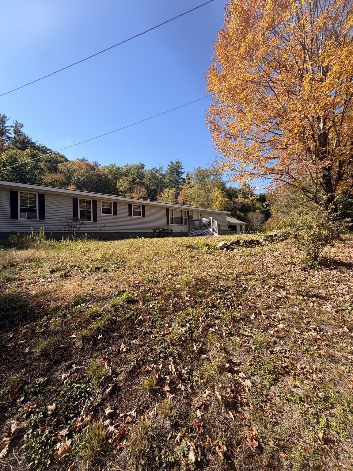 403 Tully Rd Property Photo 22