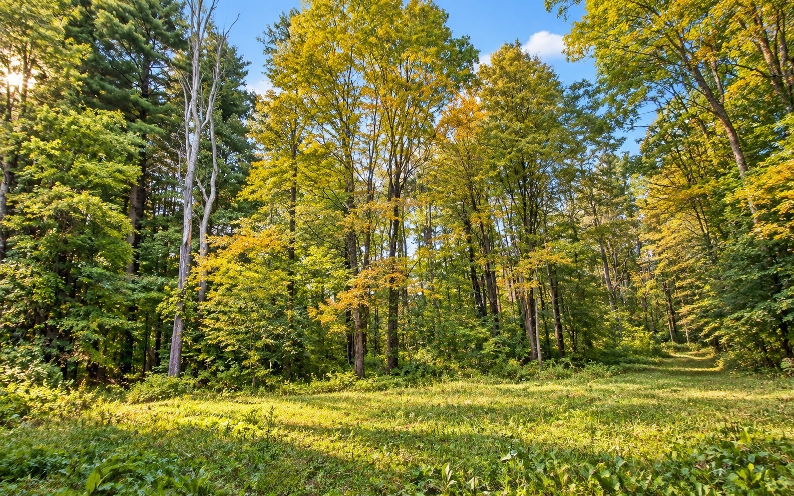 Lot 3 Ma-41 Property Photo 1