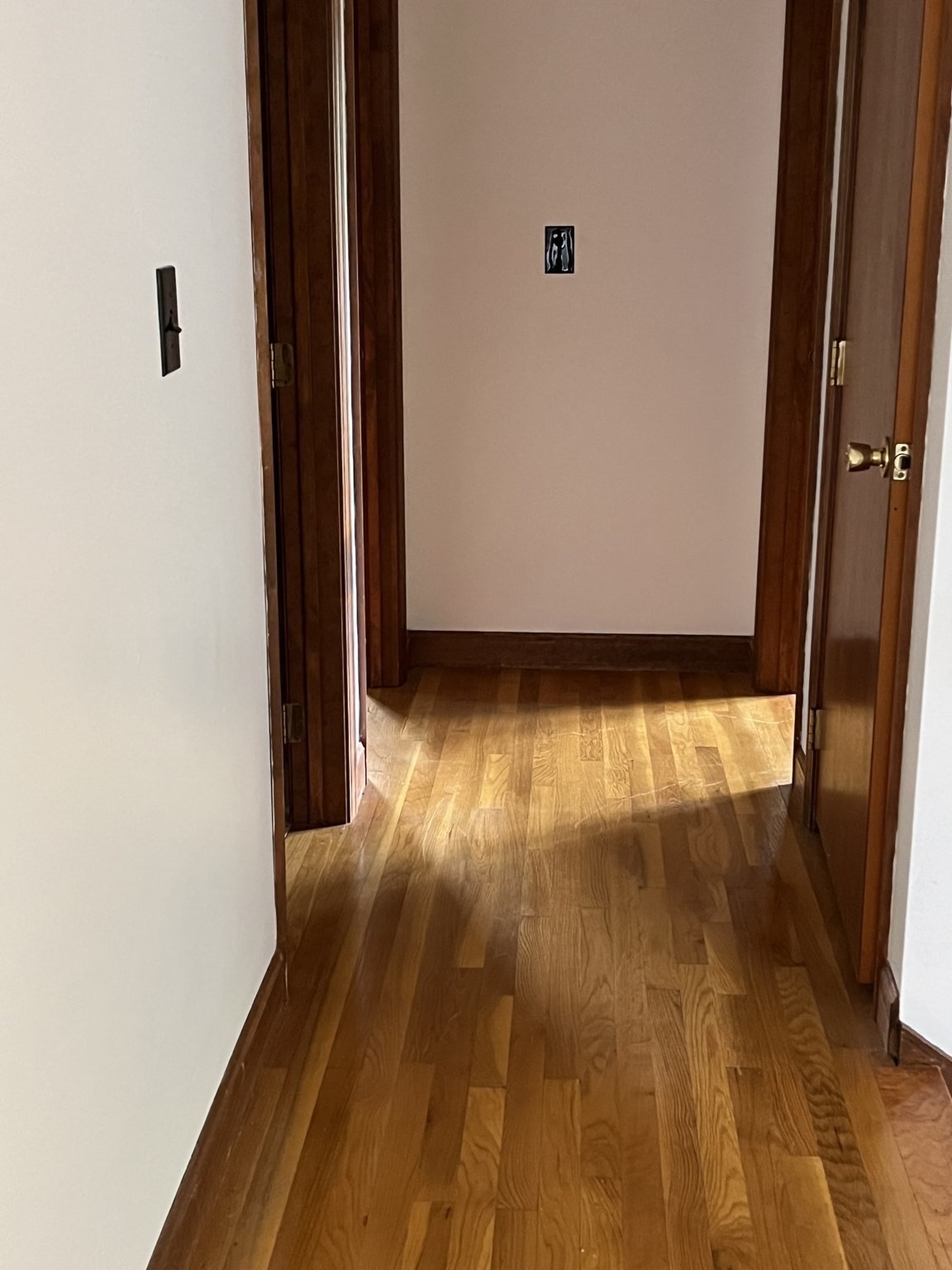 10 Douglas Drive Property Photo 12