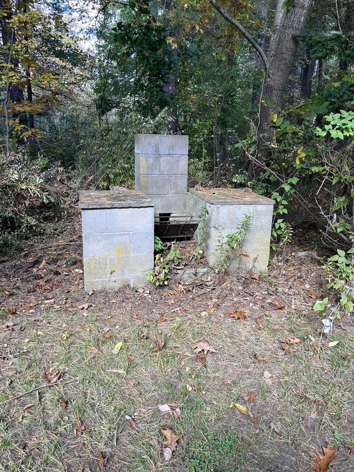 10 Douglas Drive Property Photo 27