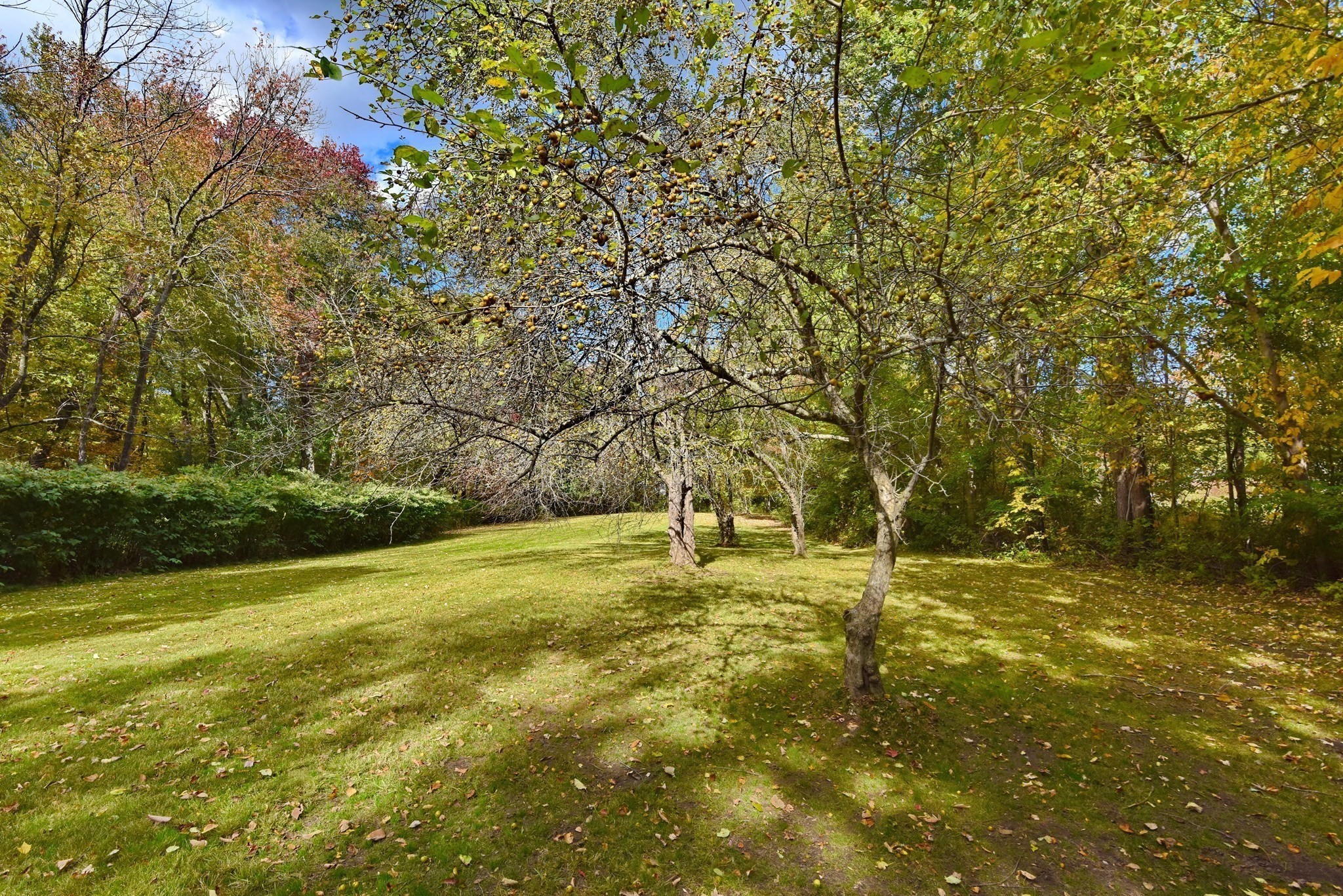 6 Cain Circle # 6 Property Photo 34