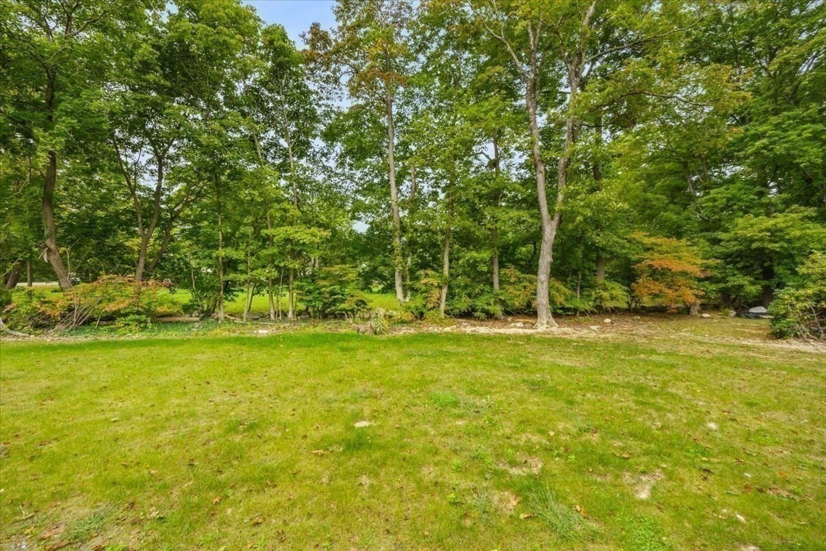 531 Foundry Street # D Property Photo 18