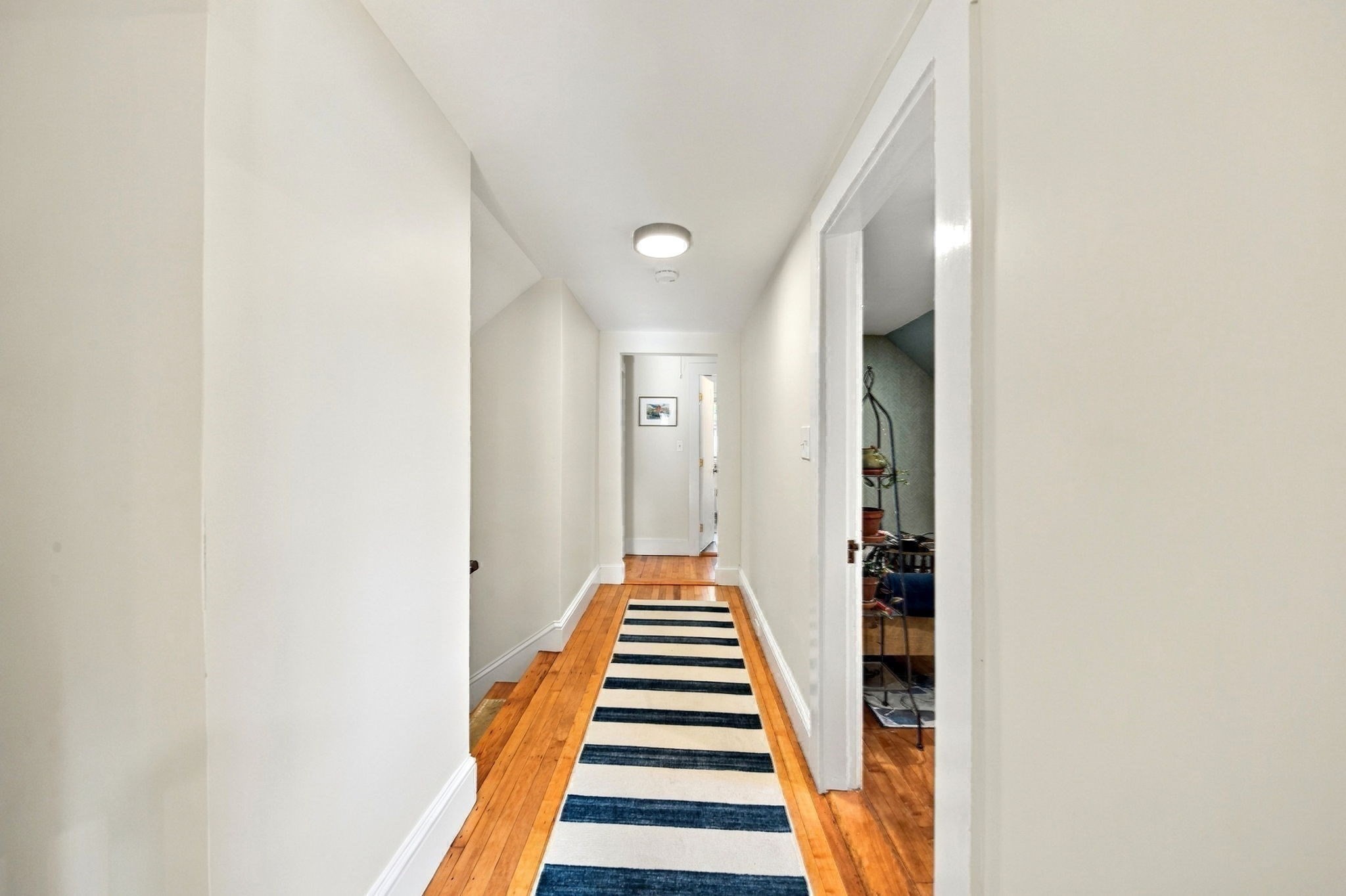 17 Watson Street Property Photo 27