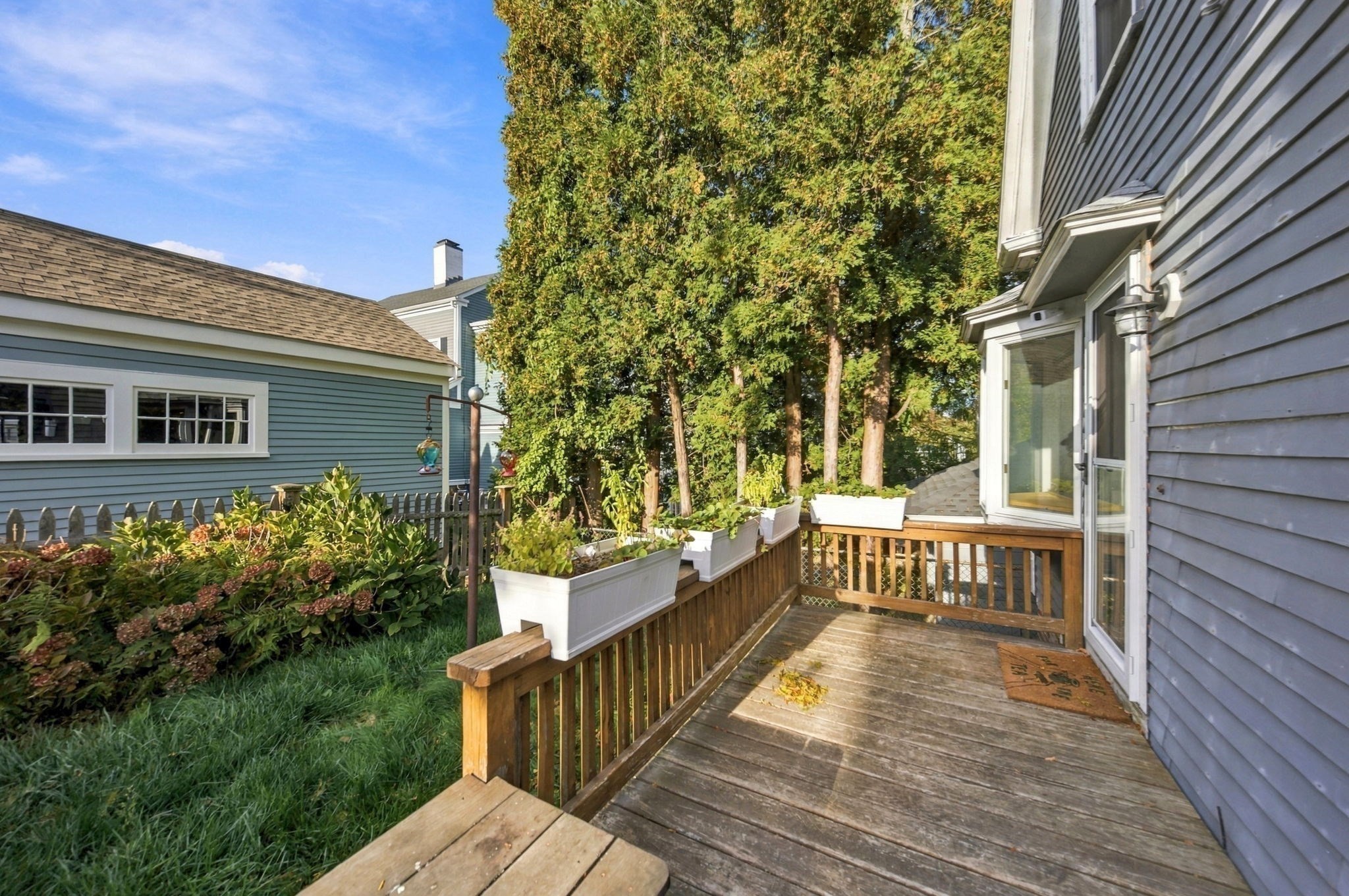 17 Watson Street Property Photo 38