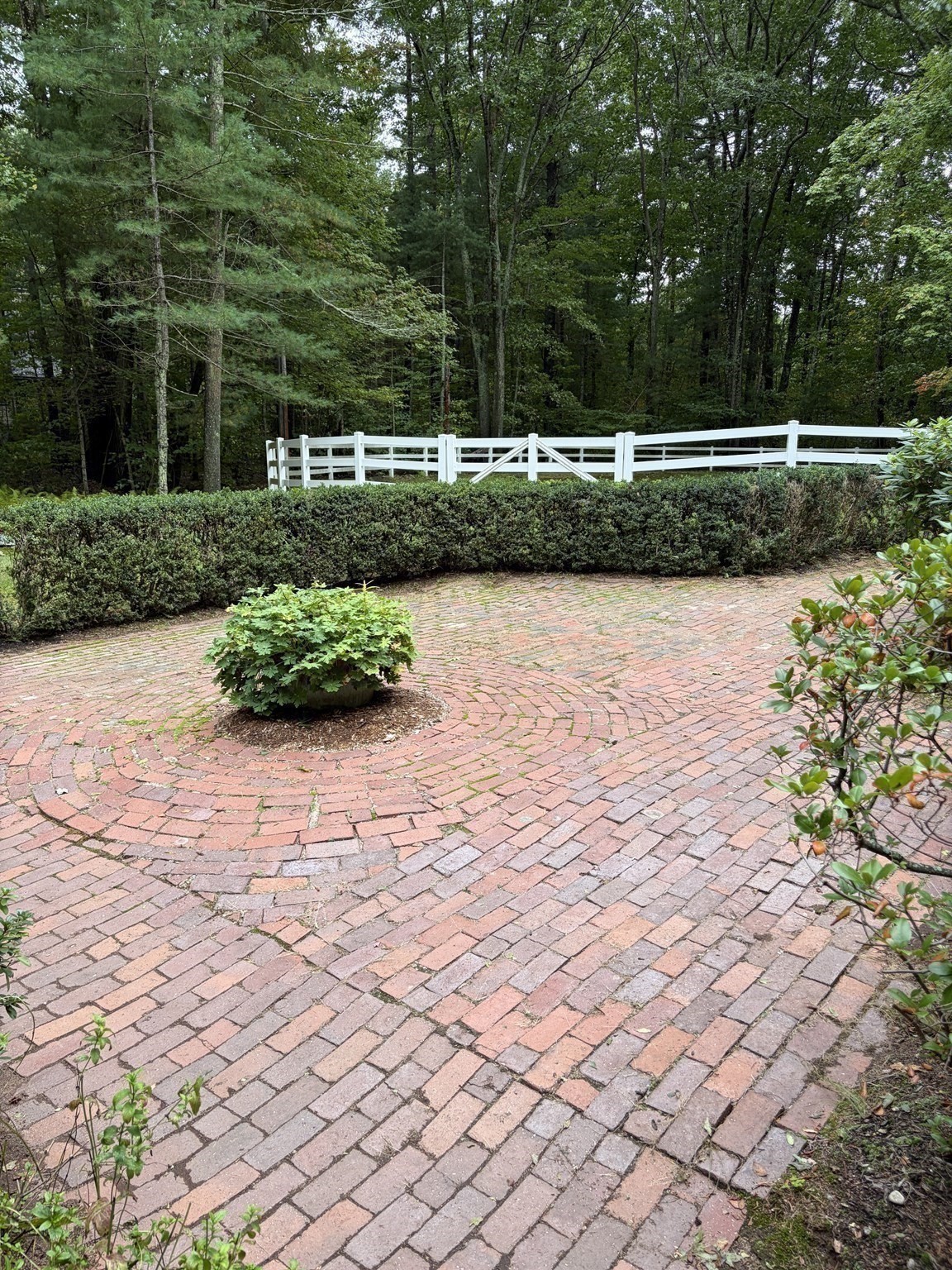 61 South Street Property Photo 22