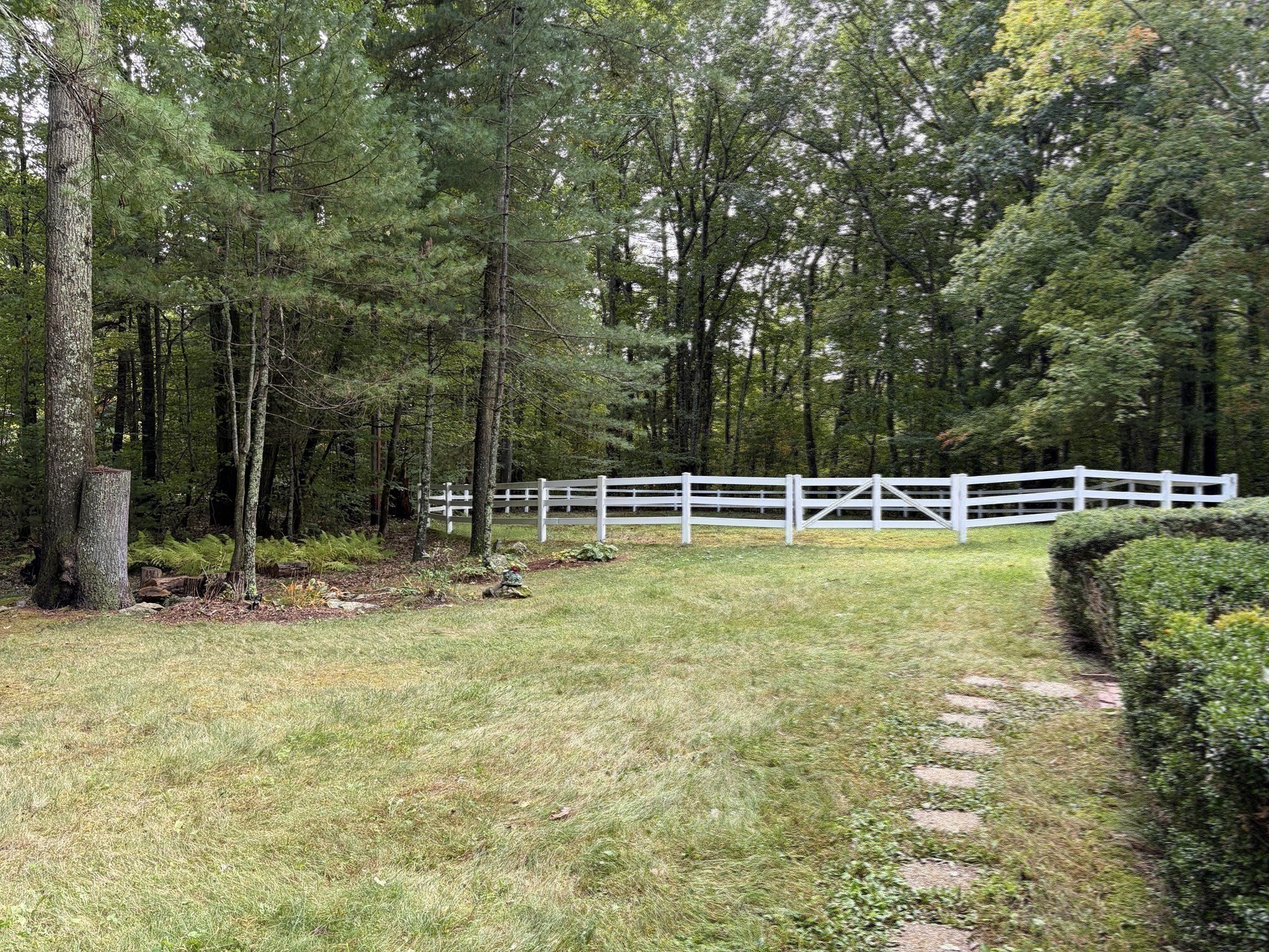 61 South Street Property Photo 28