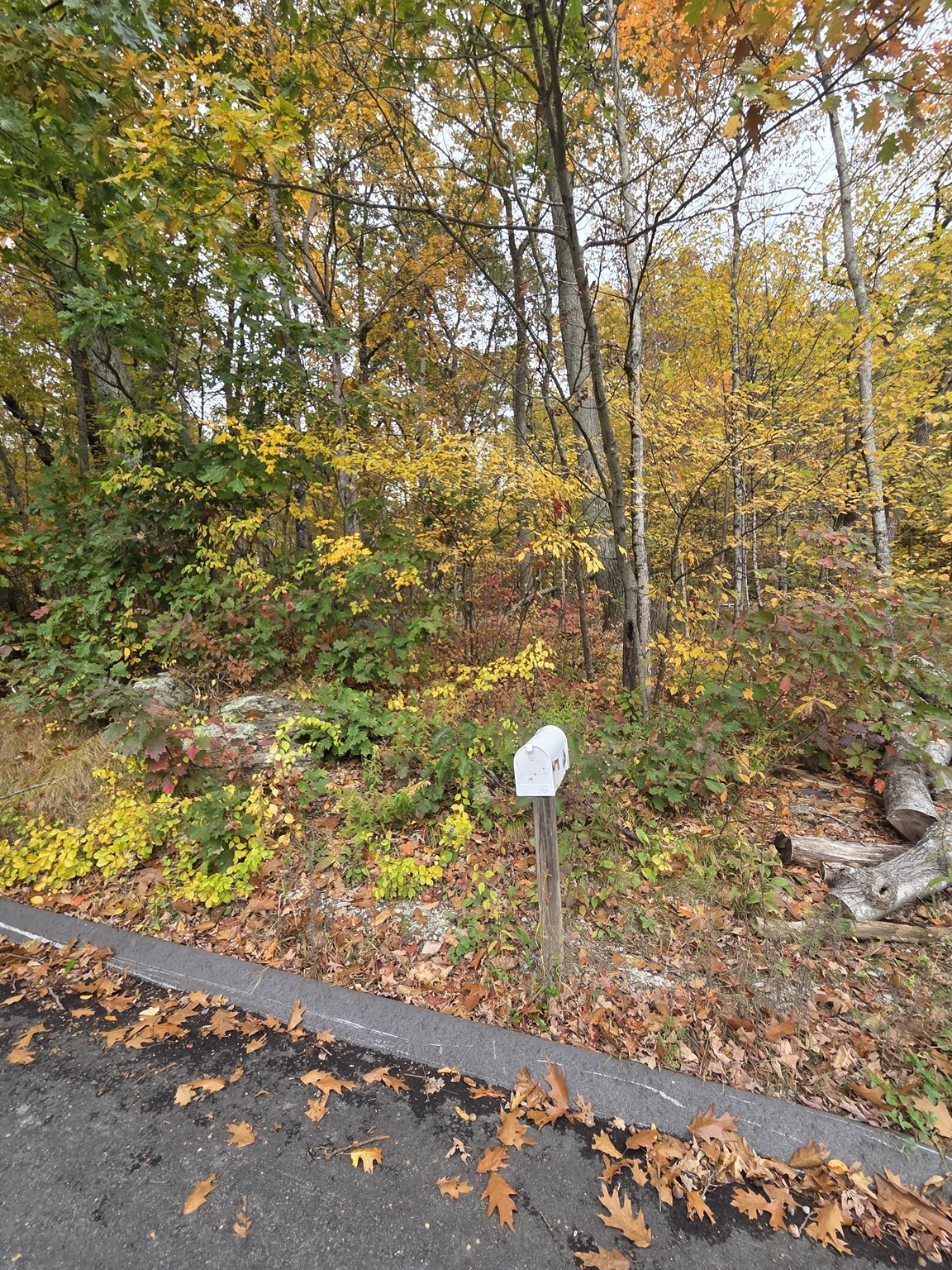 13 Kimball St Property Photo 1