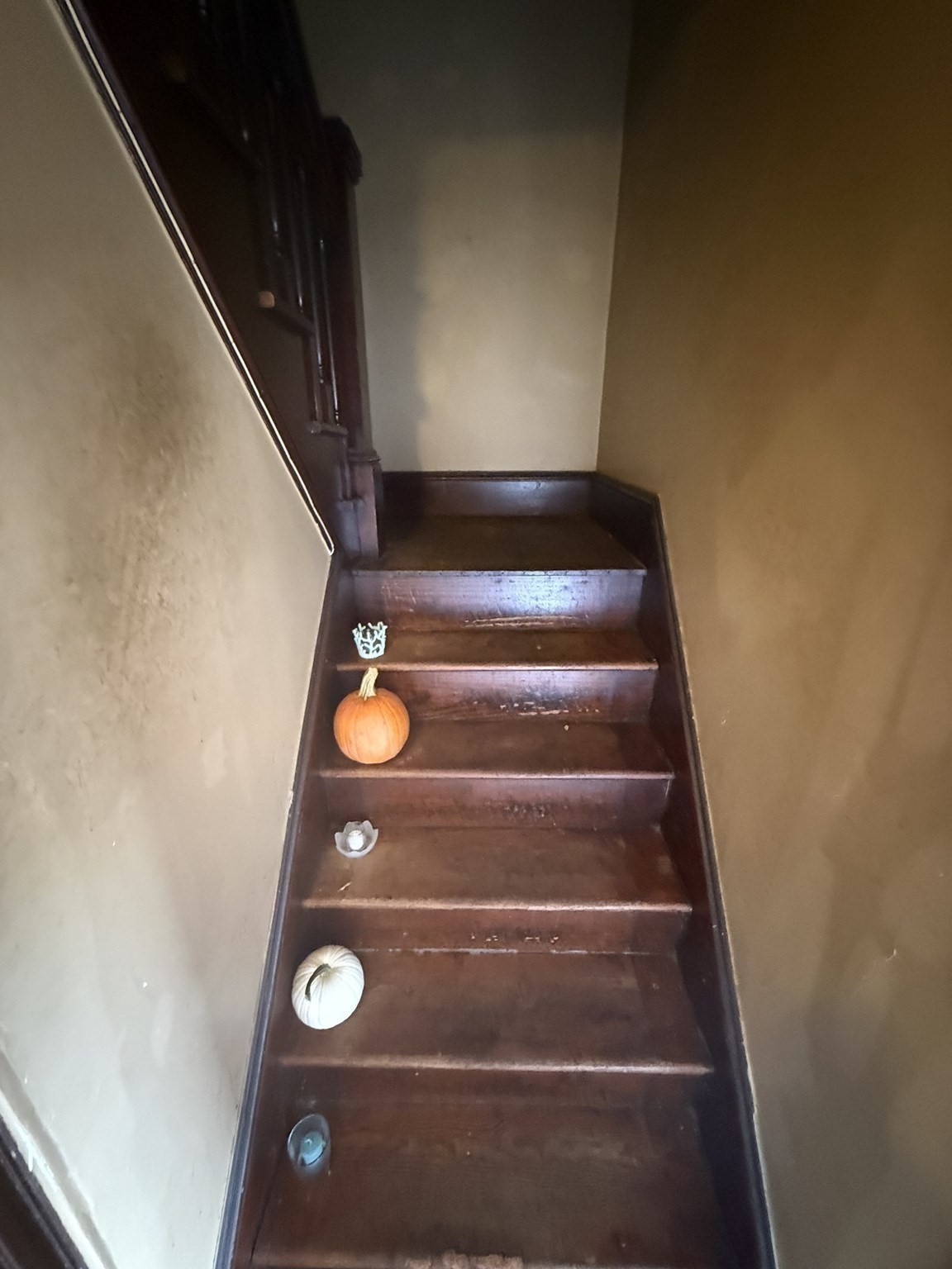 23 Elliot St Property Photo 20