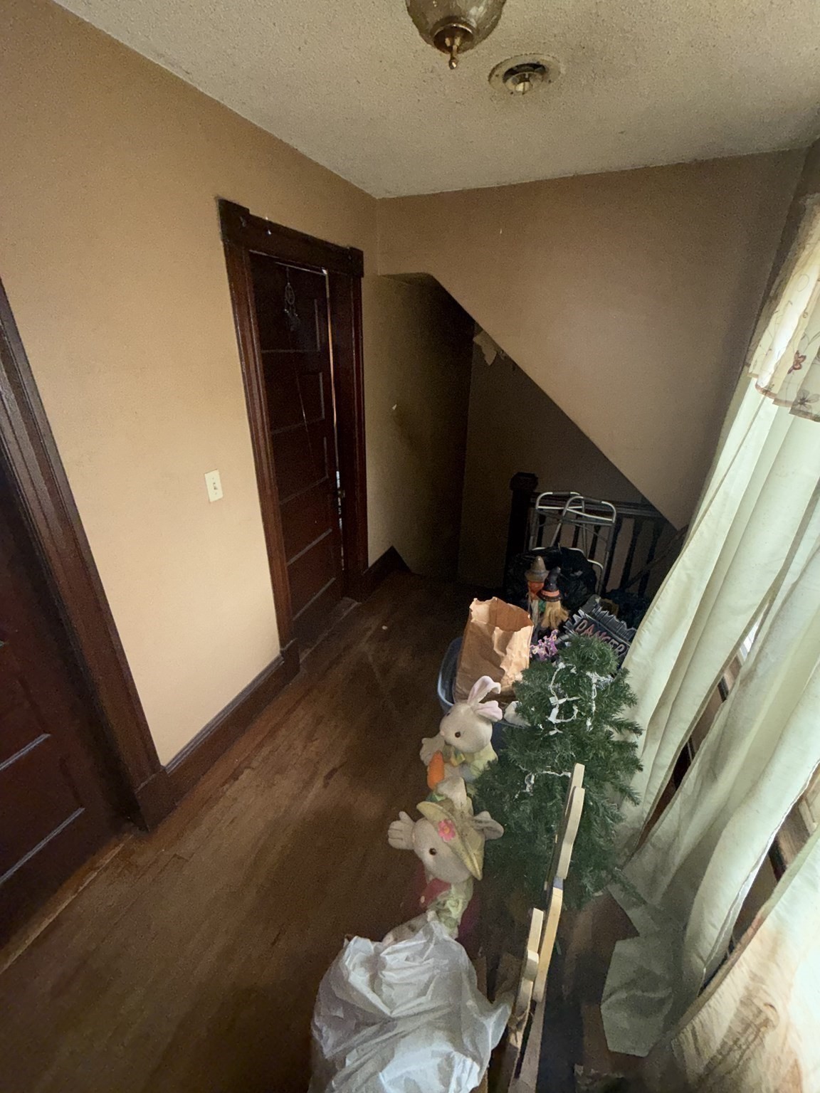 23 Elliot St Property Photo 22