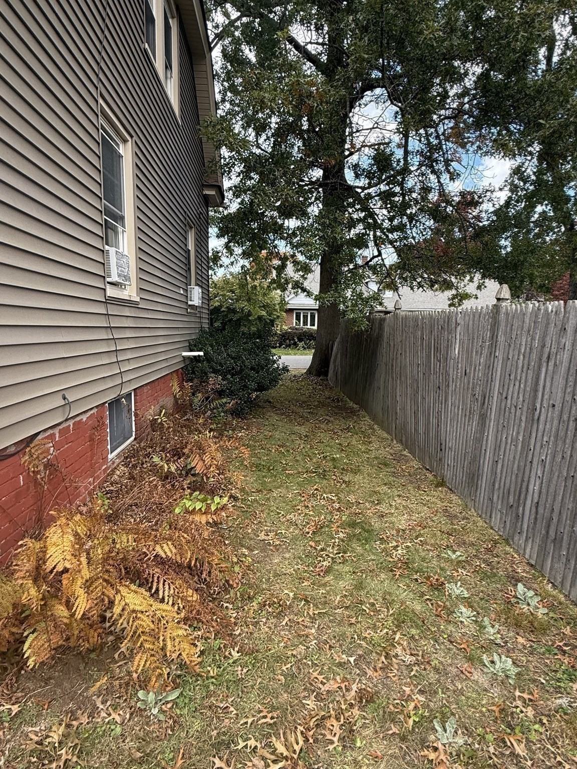 23 Elliot St Property Photo 36