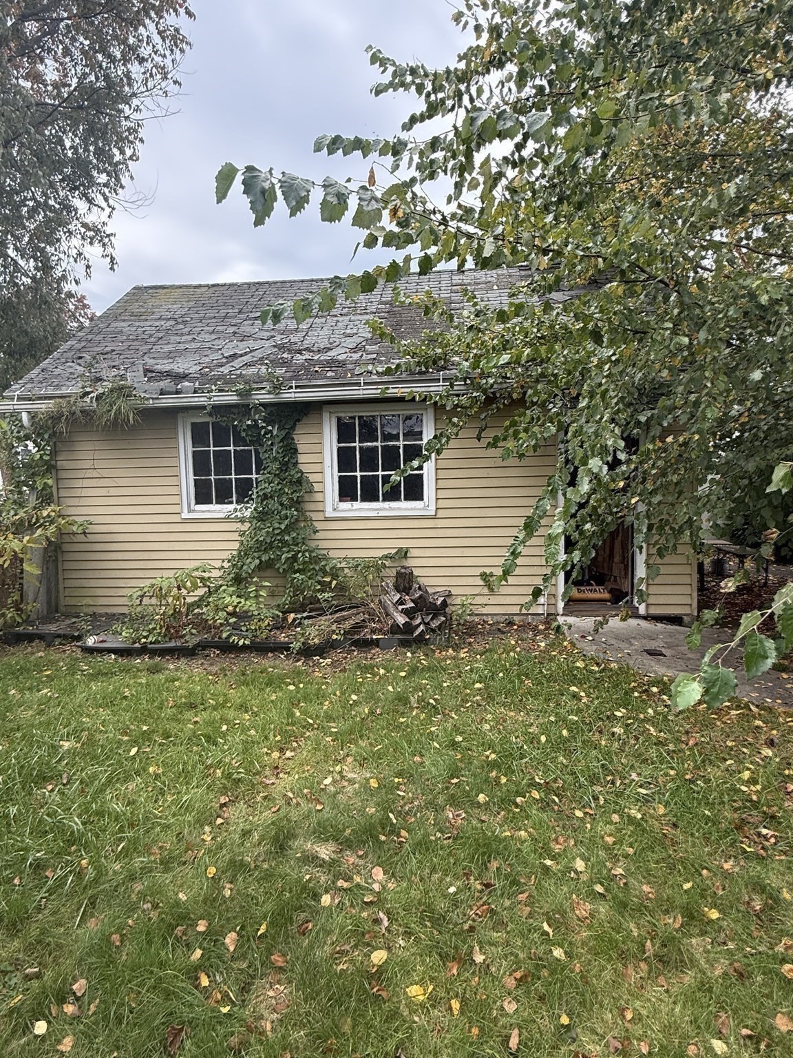 23 Elliot St Property Photo 39
