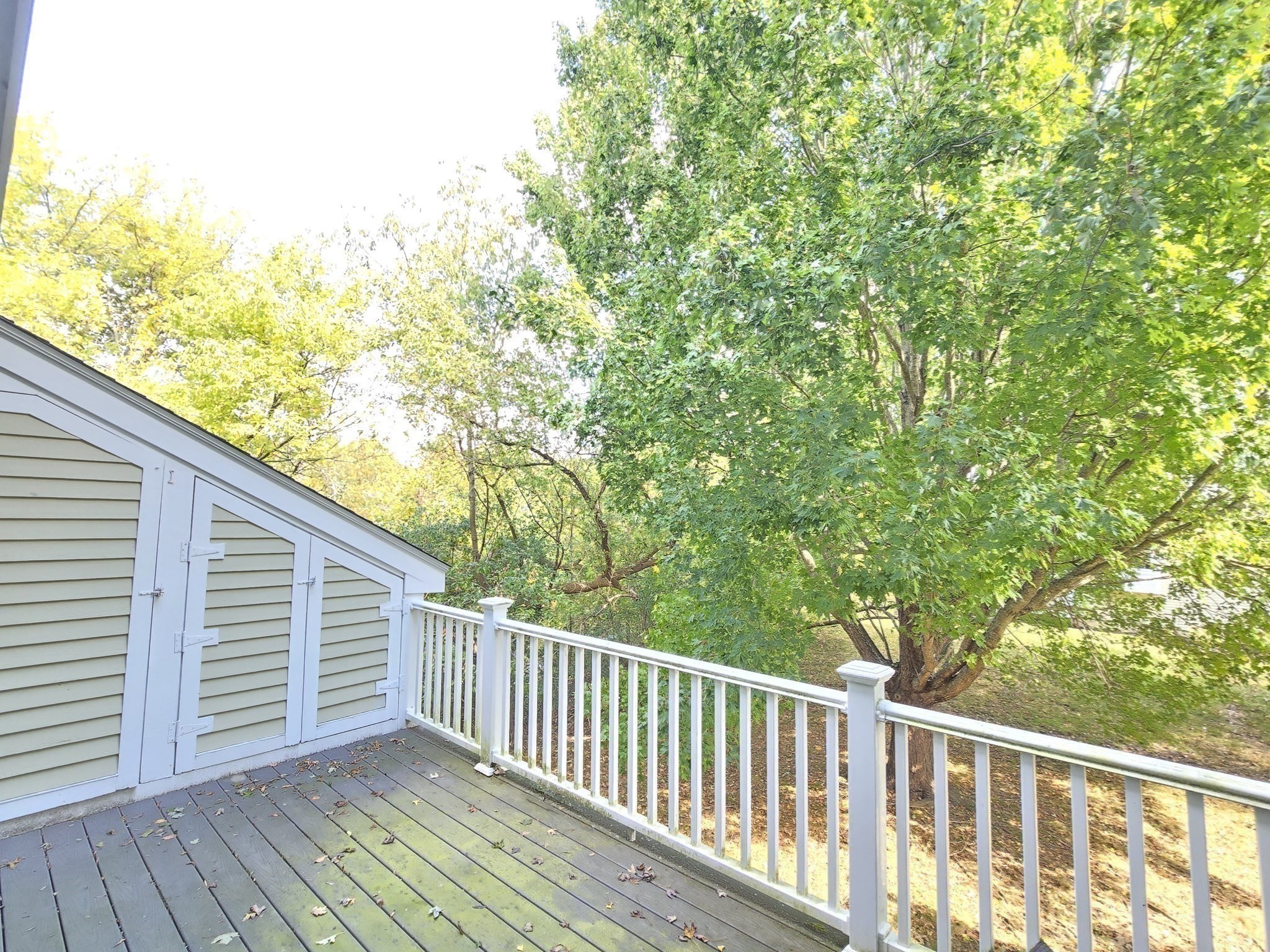 43 Abington Road # 43 Property Photo 11