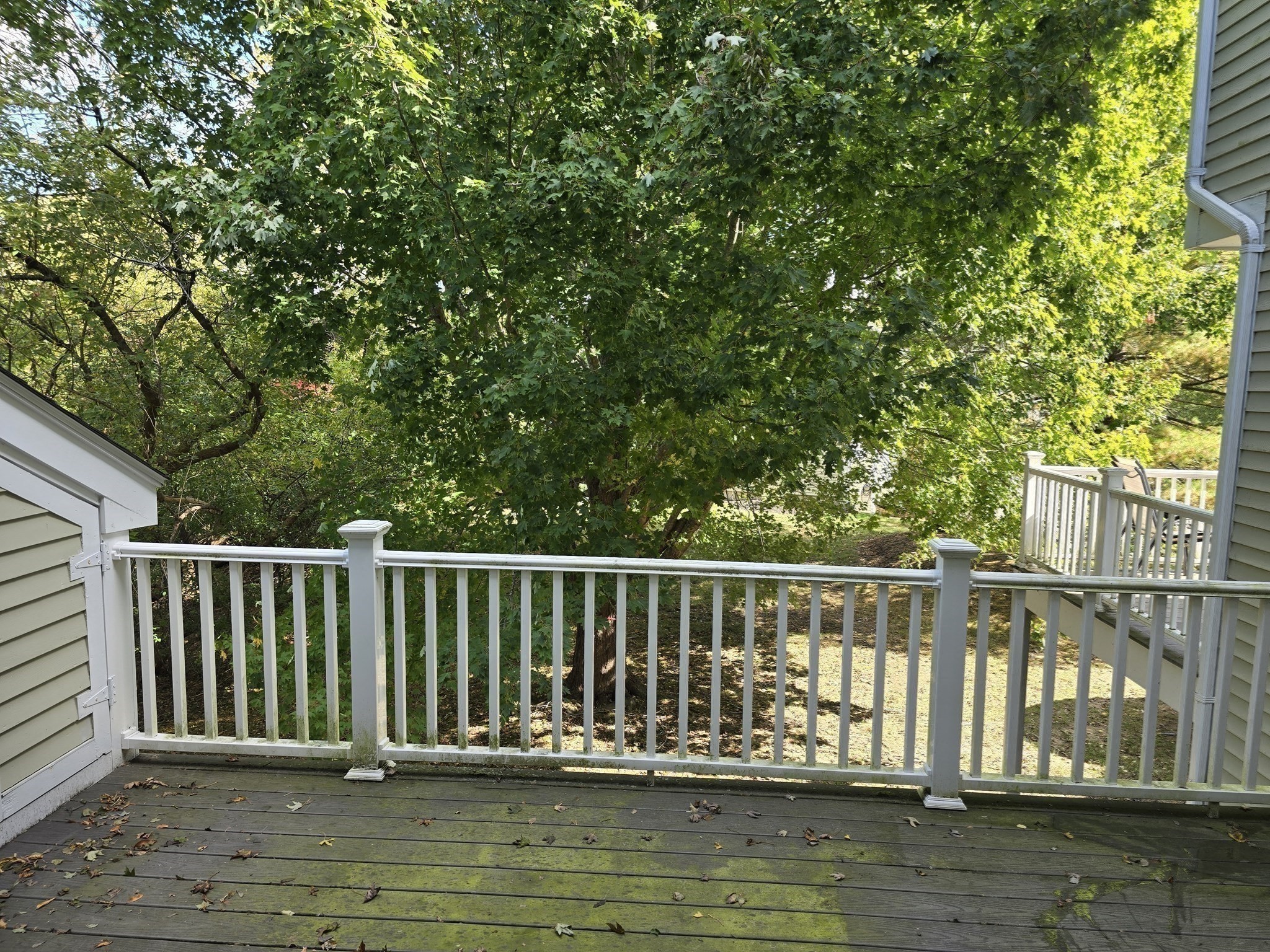 43 Abington Road # 43 Property Photo 12