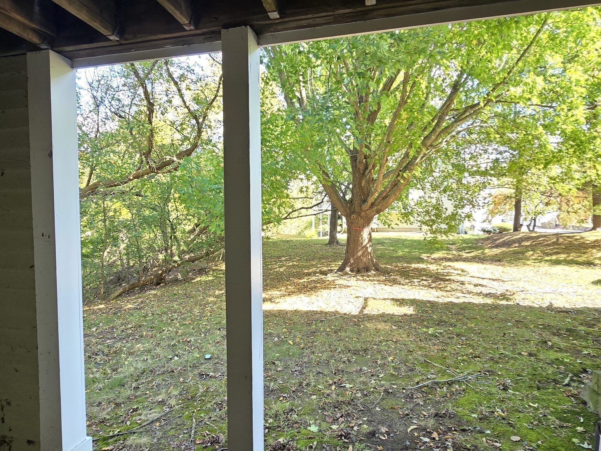 43 Abington Road # 43 Property Photo 13