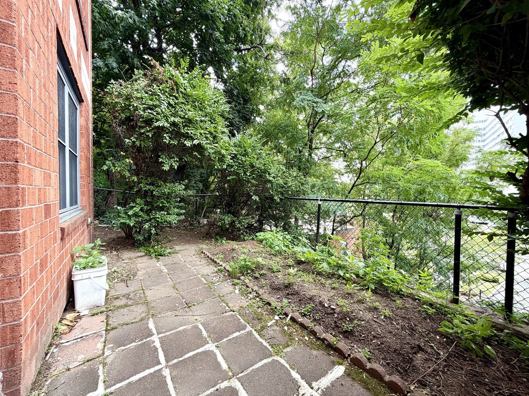 26 Ellingwood St # 26 Property Photo 21