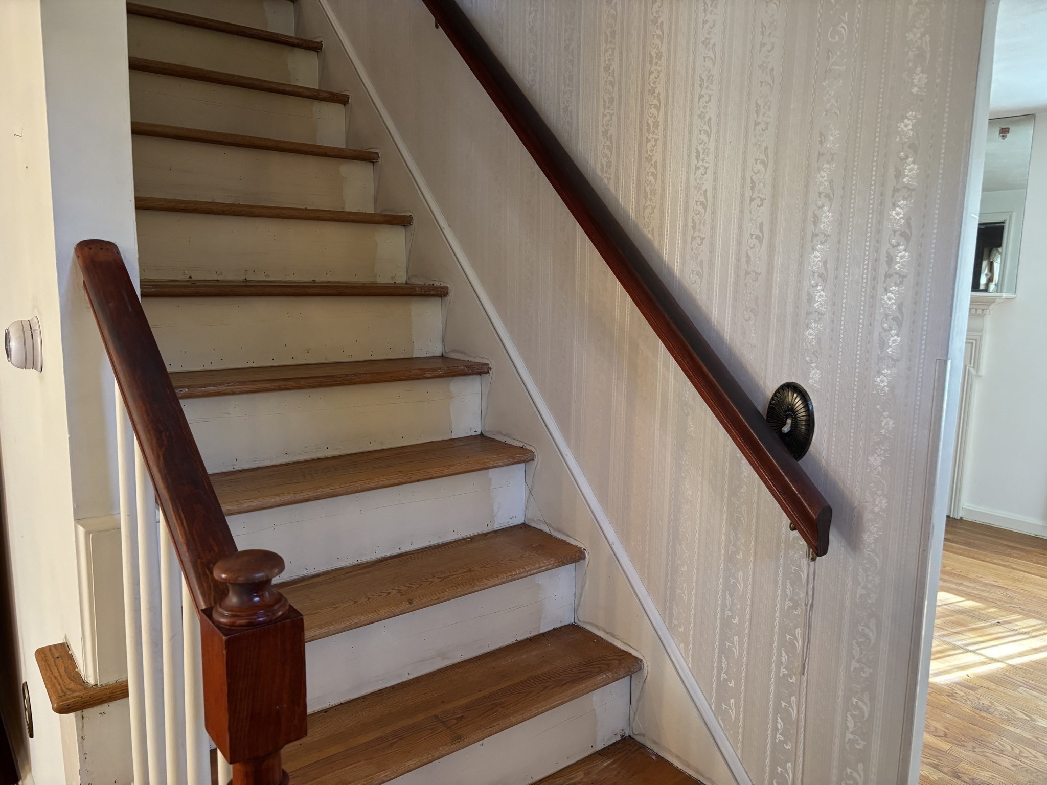 41 Reed Street Property Photo 14