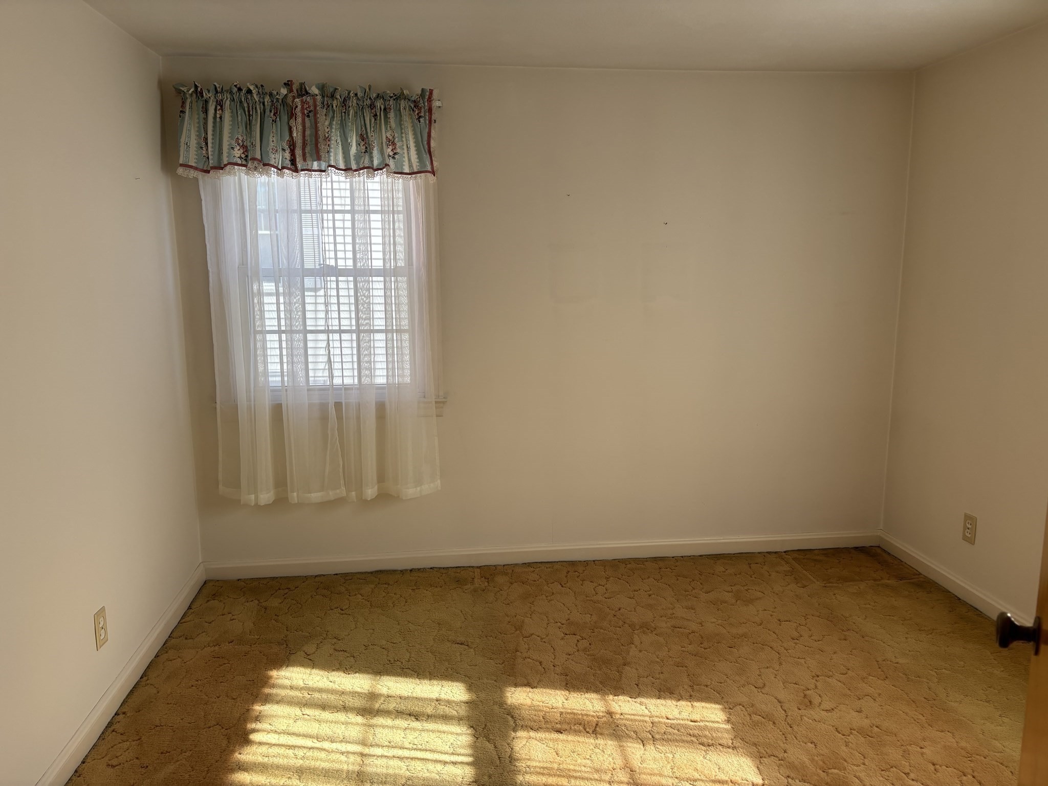 41 Reed Street Property Photo 17