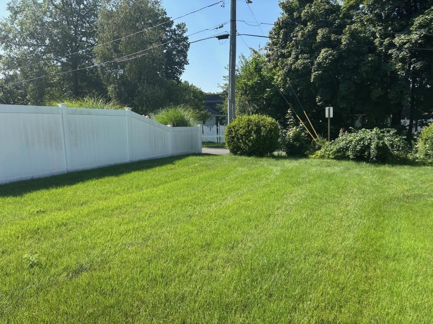 41 Reed Street Property Photo 22