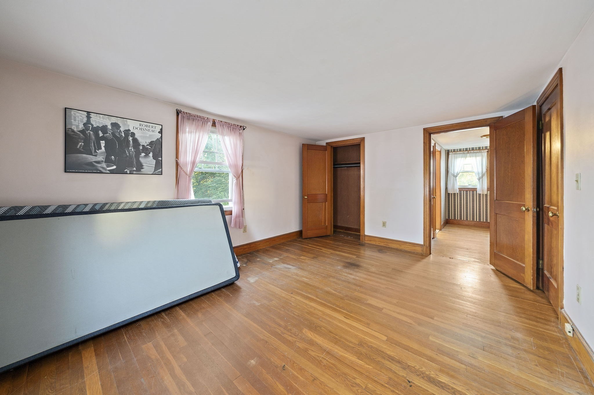 50 Lyons St Property Photo 20