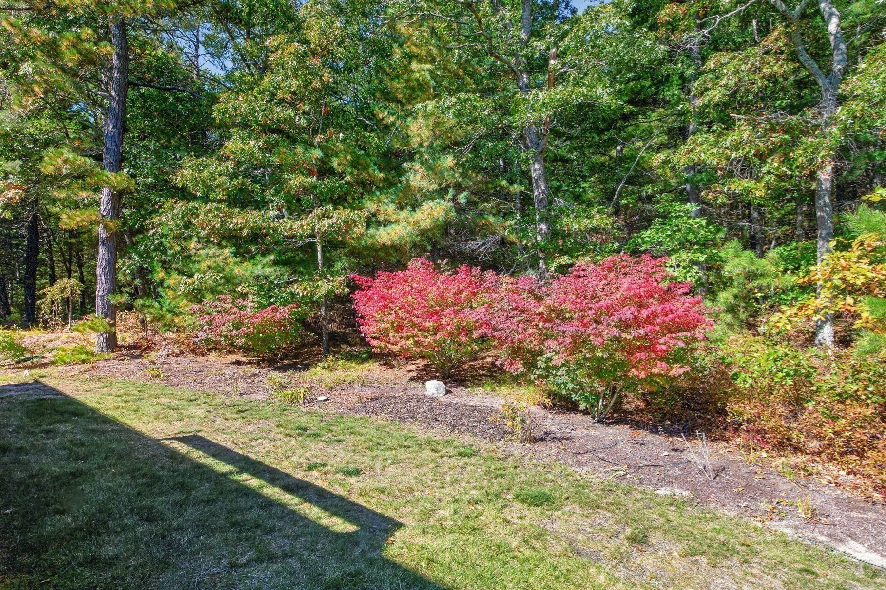 6 Autumn Glen Property Photo 34