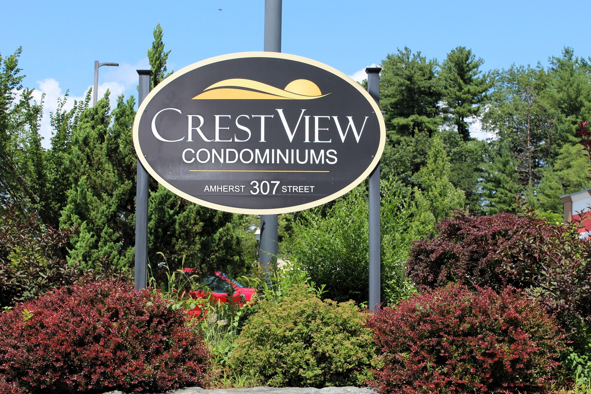 307B Amherst Street # 125