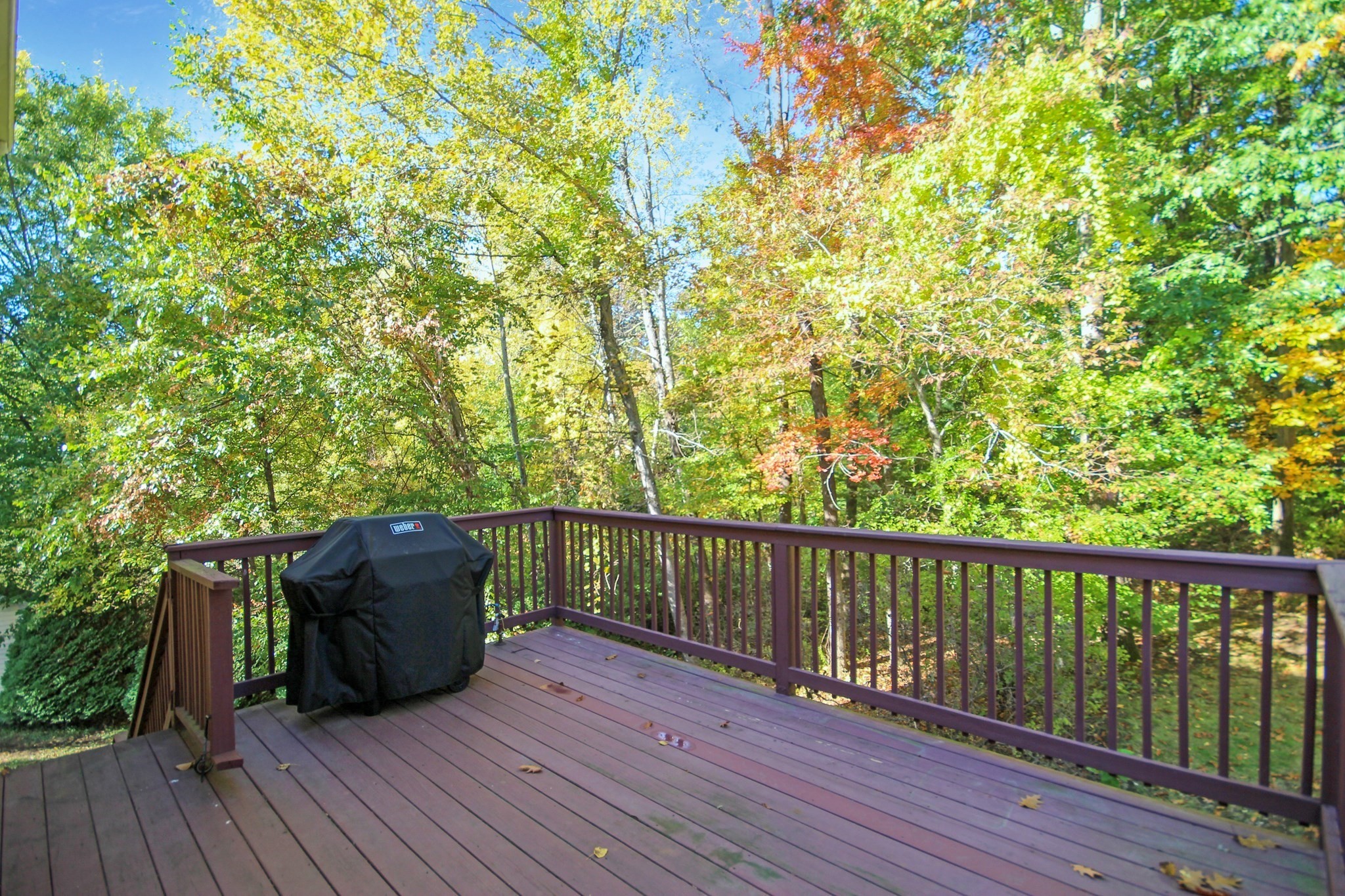 170 Bay State Rd Property Photo 35