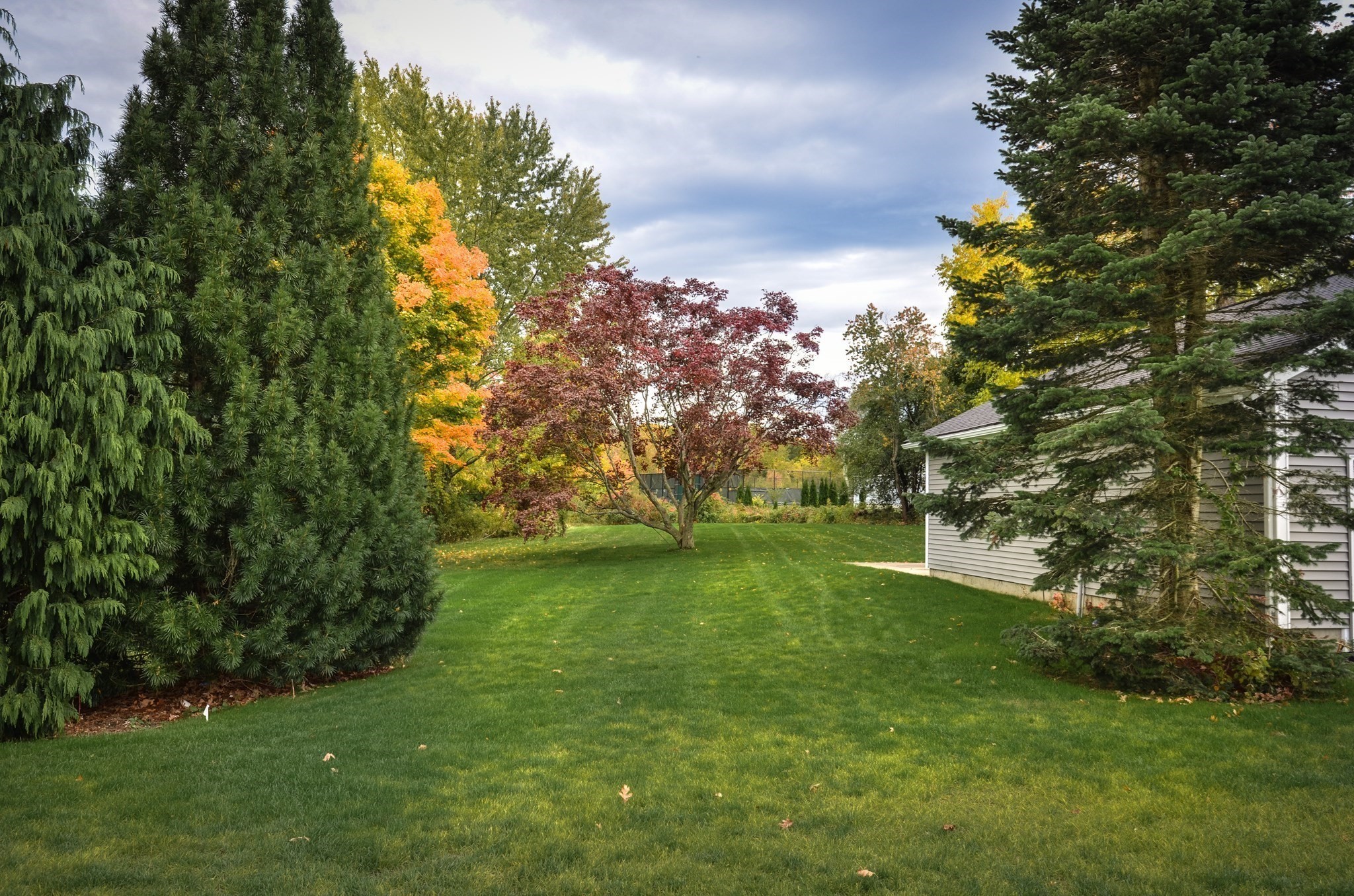 147 Highland Street Property Photo 40