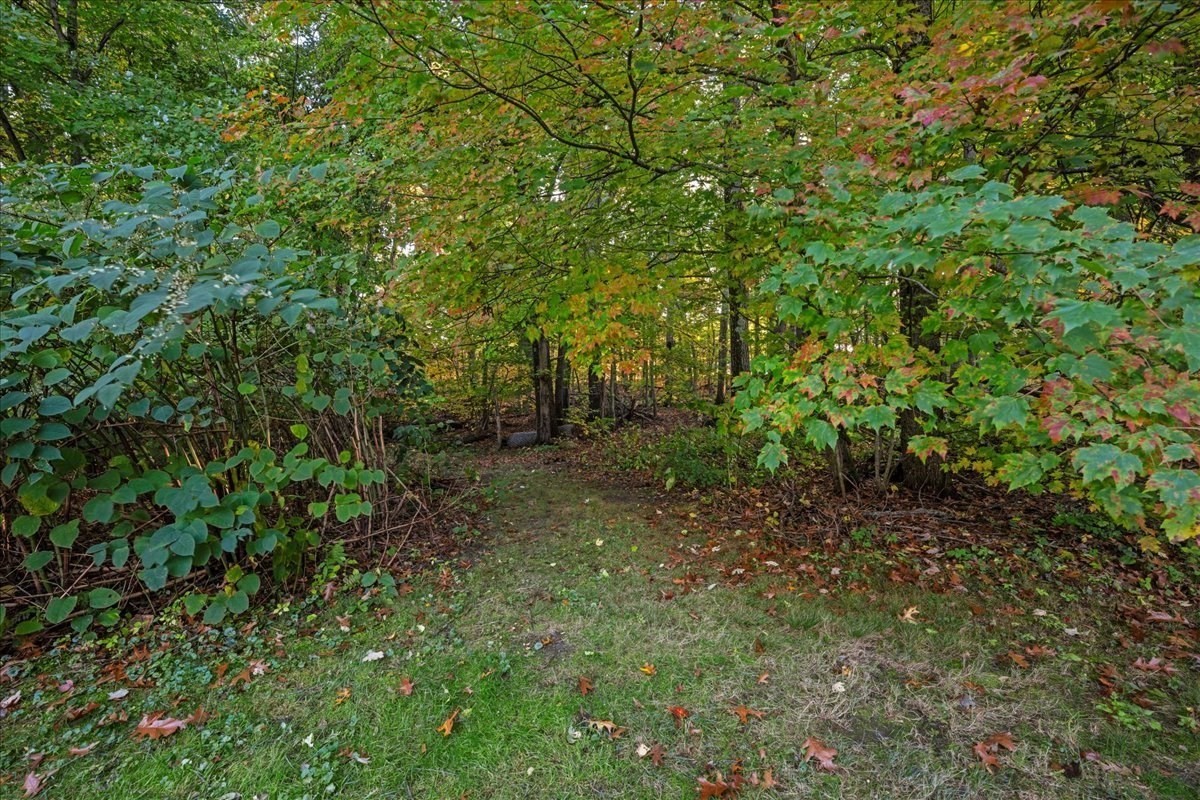 18 Fairview Drive Property Photo 30