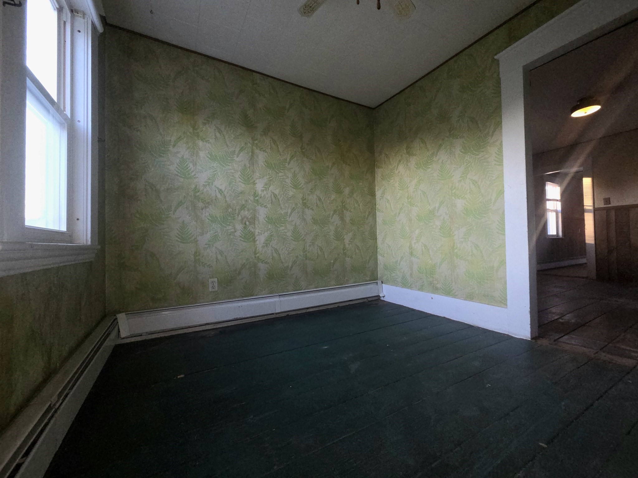 4 Upham St Property Photo 27