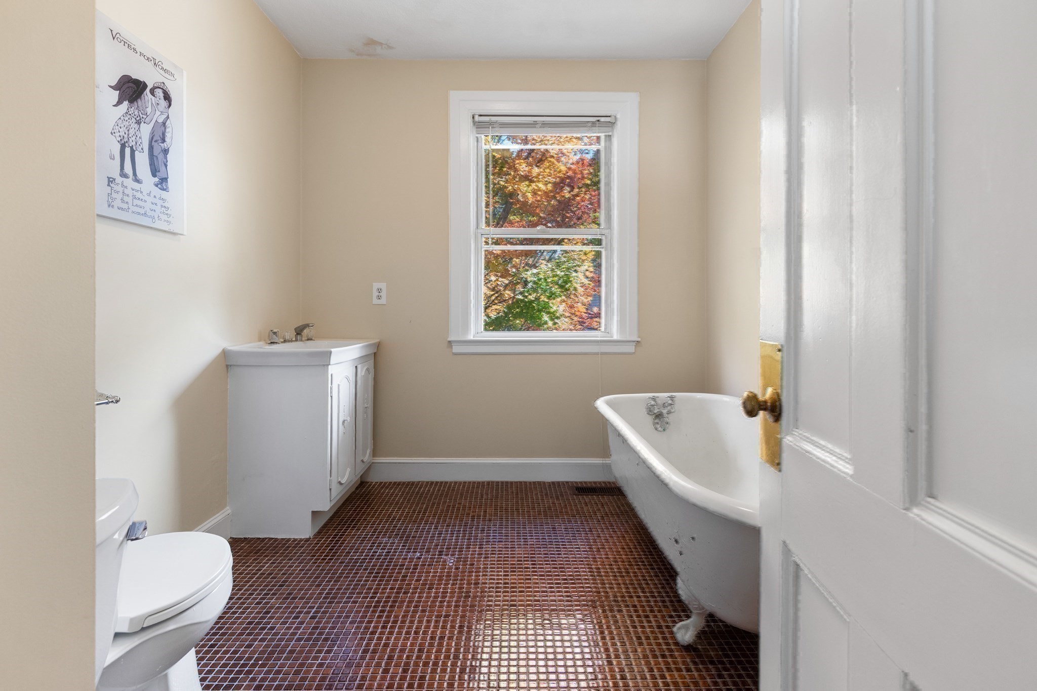 48 Elm Street Property Photo 19