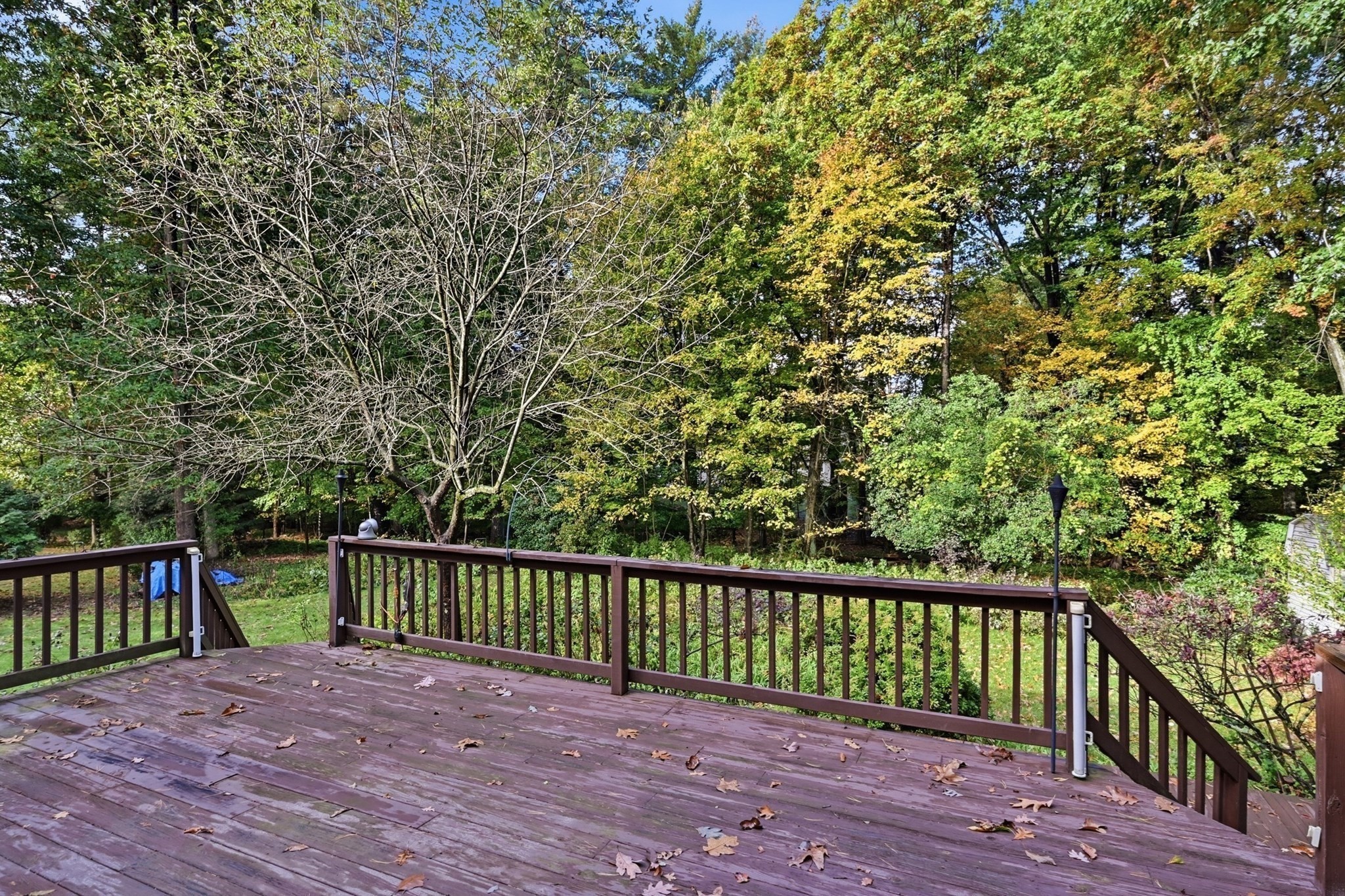 13 Addison Rd Property Photo 36