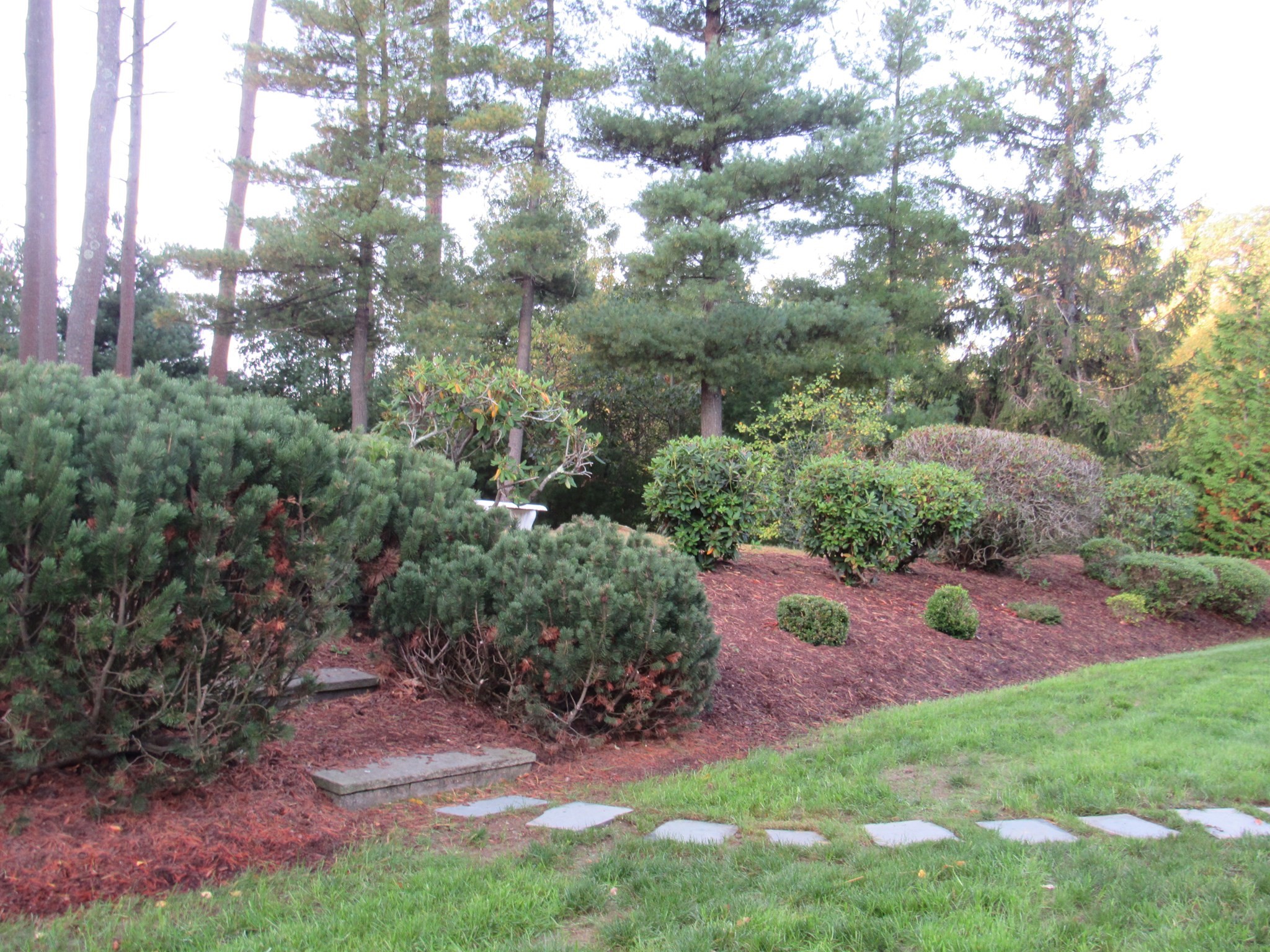 14 Pinegrove Rd Property Photo 4