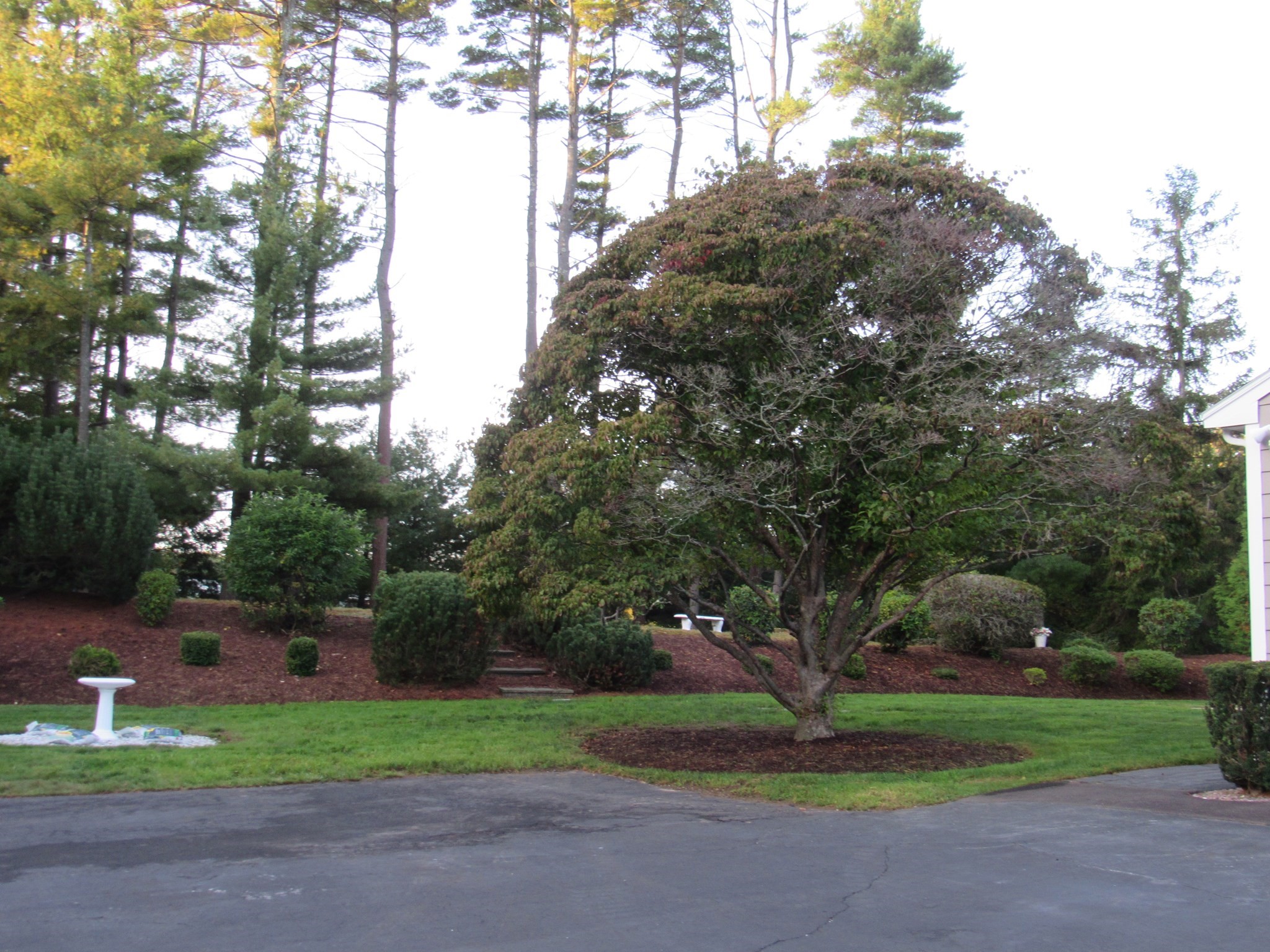 14 Pinegrove Rd Property Photo 5