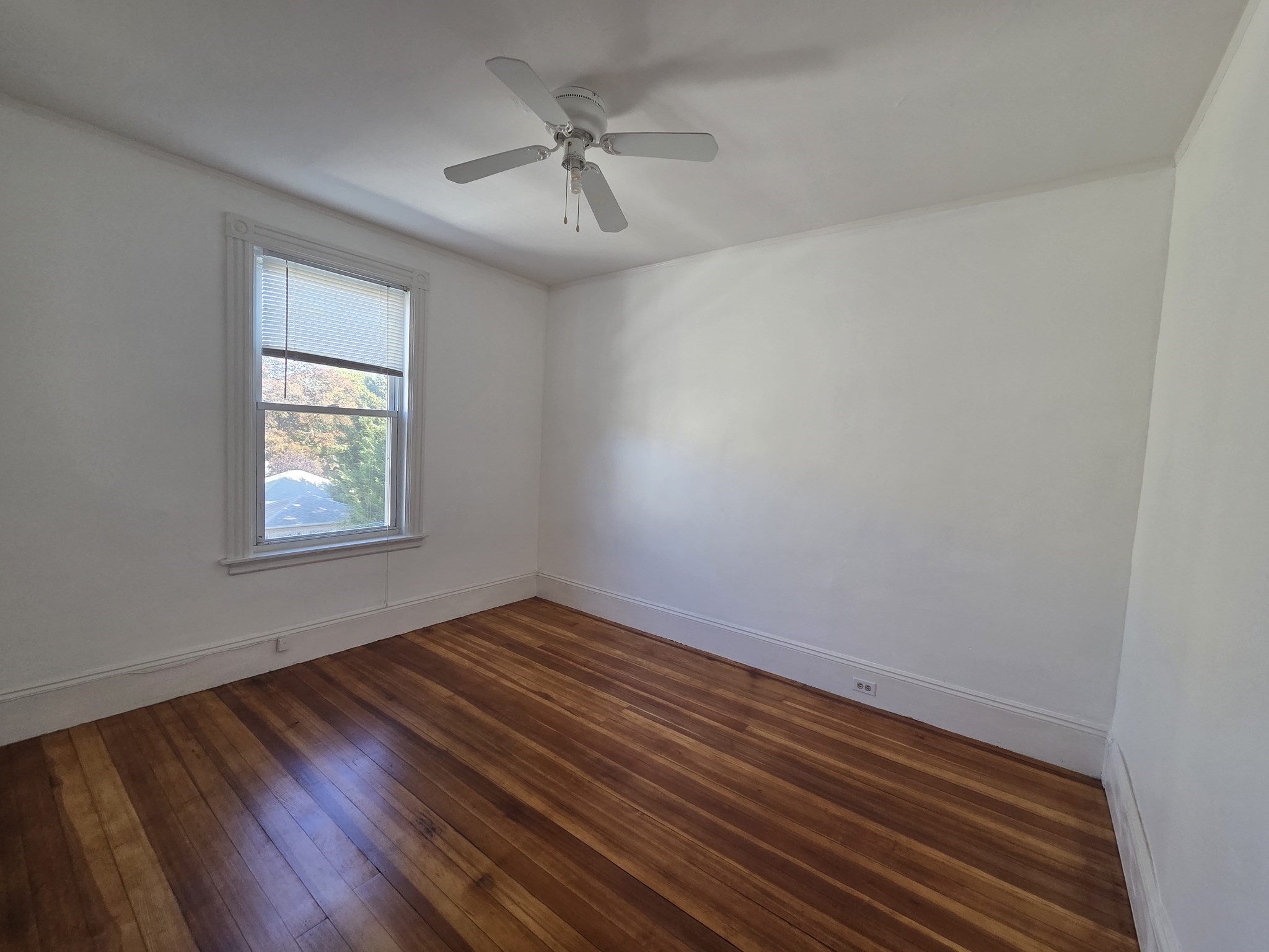 1-3 Everett St # 3 Property Photo 12