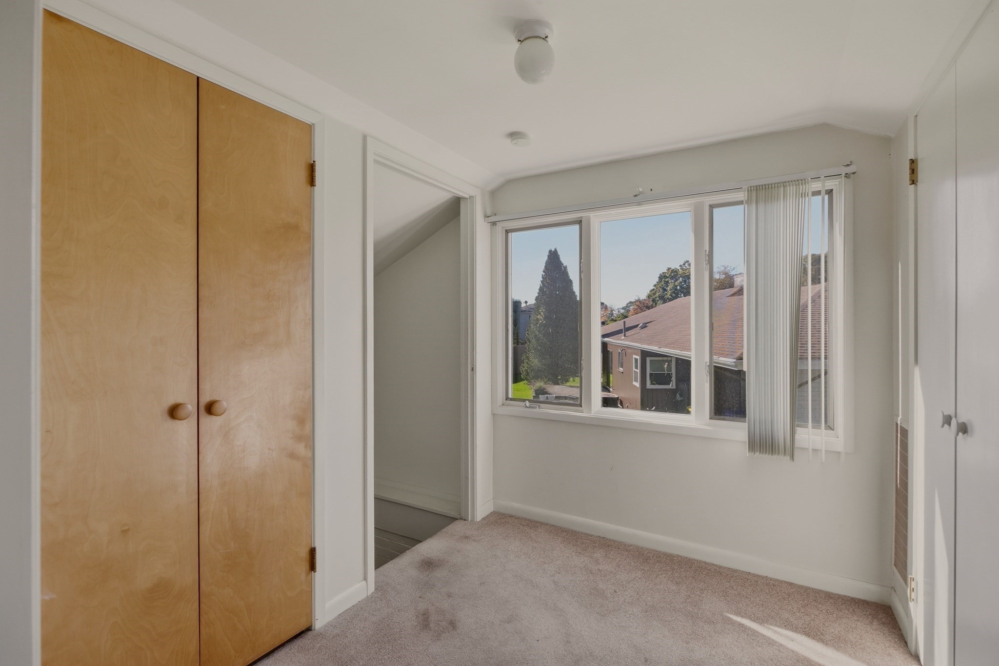 331 Albany St Property Photo 26