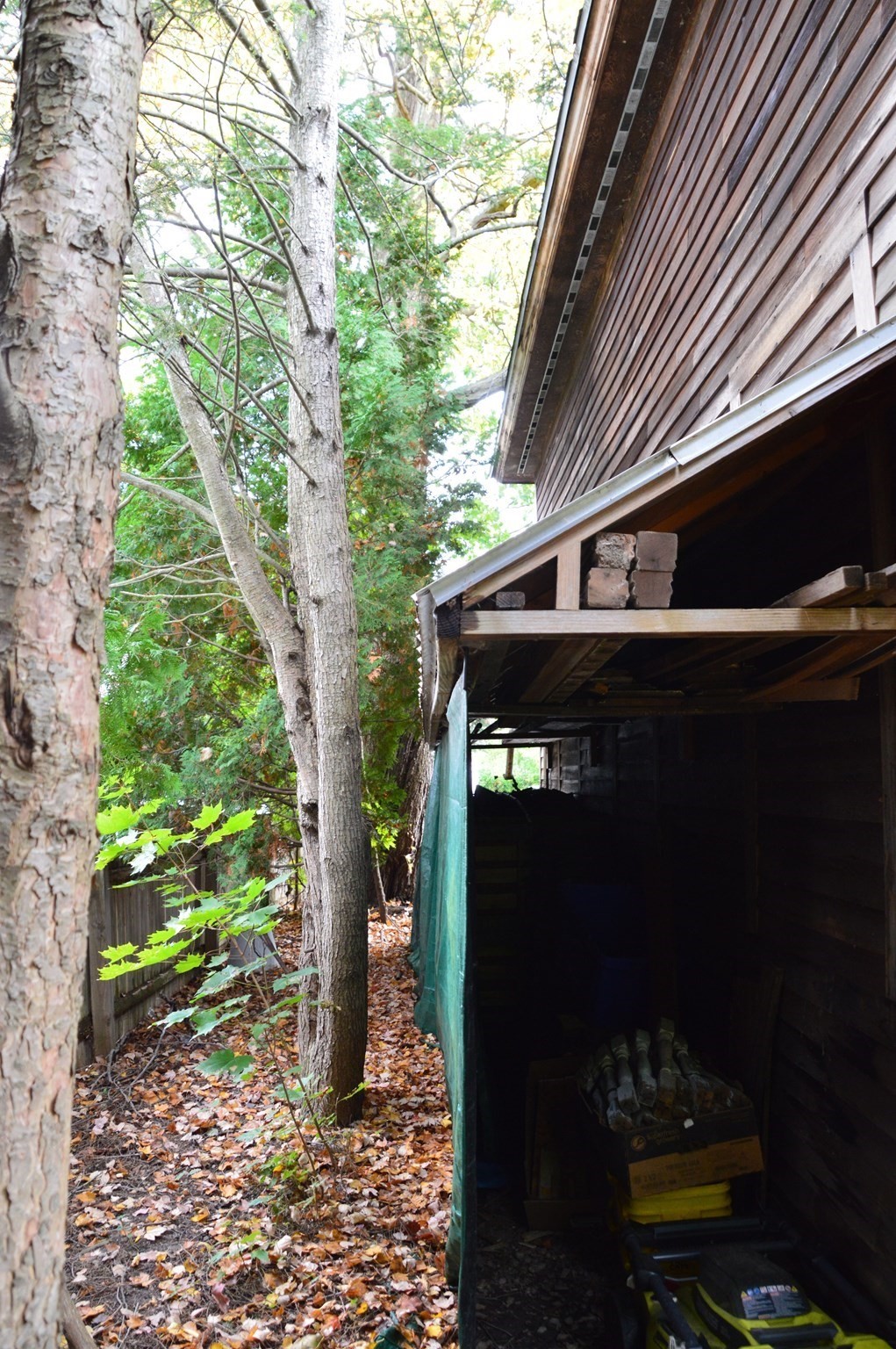55 Gaylord Street Property Photo 20