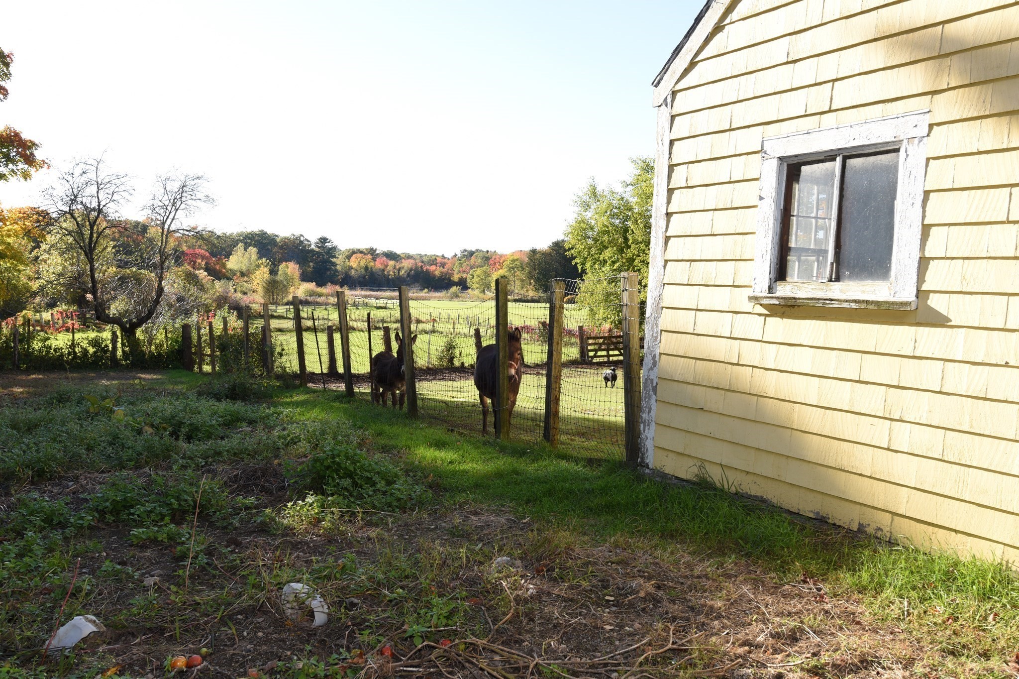 558 N Main St Property Photo 11